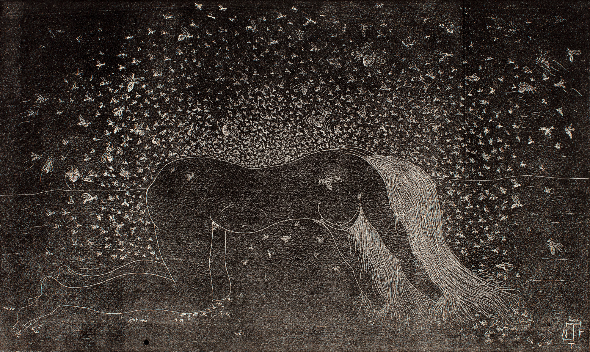 Life Drawing: Observation and Imagination Image