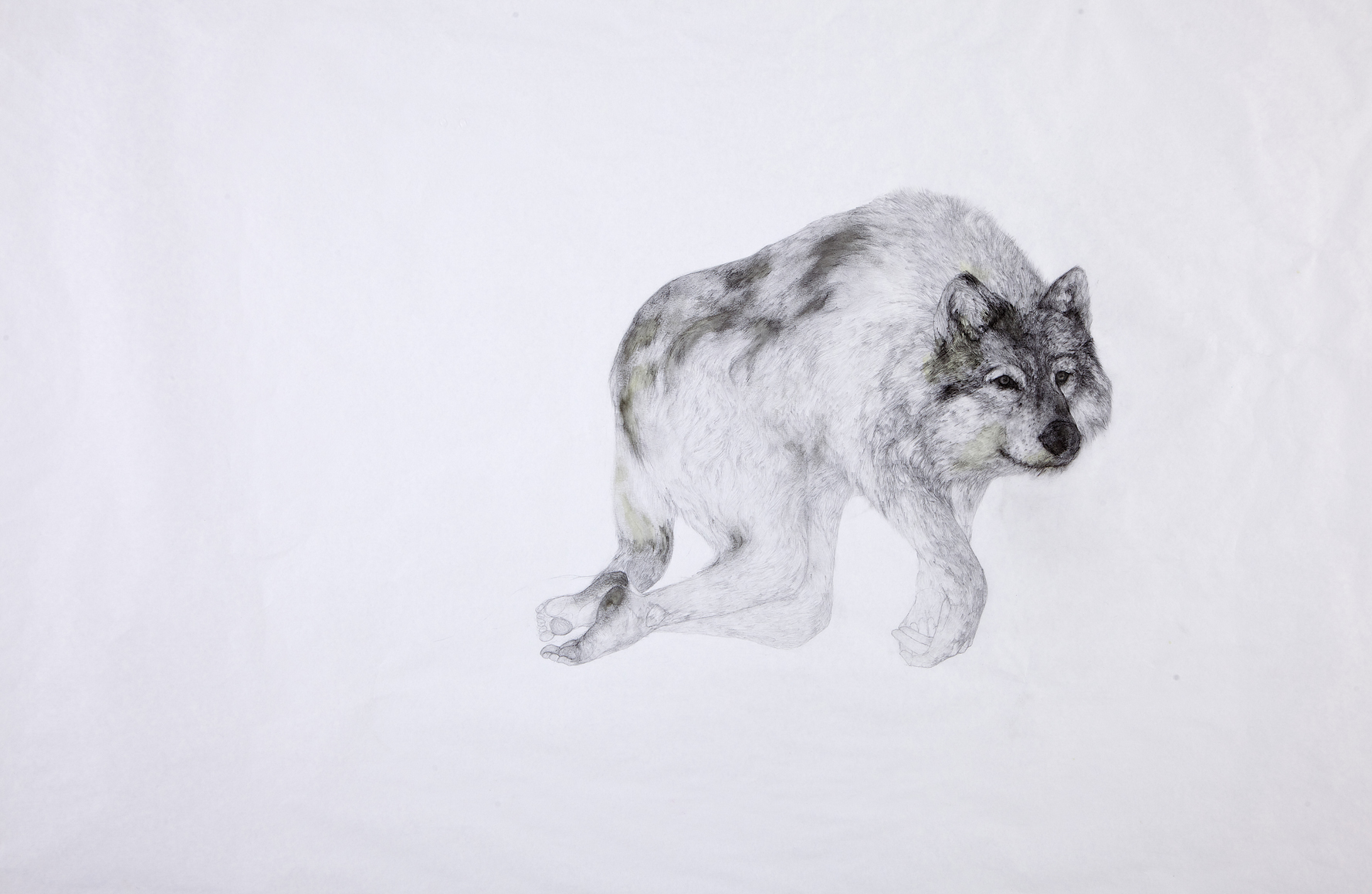 Metamorphosis: Drawing Transformation in Art and Myth Image