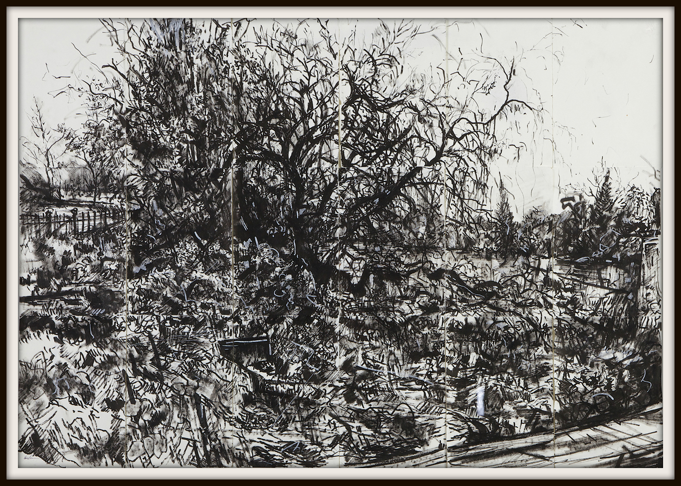 Tree in Kensington Gardens