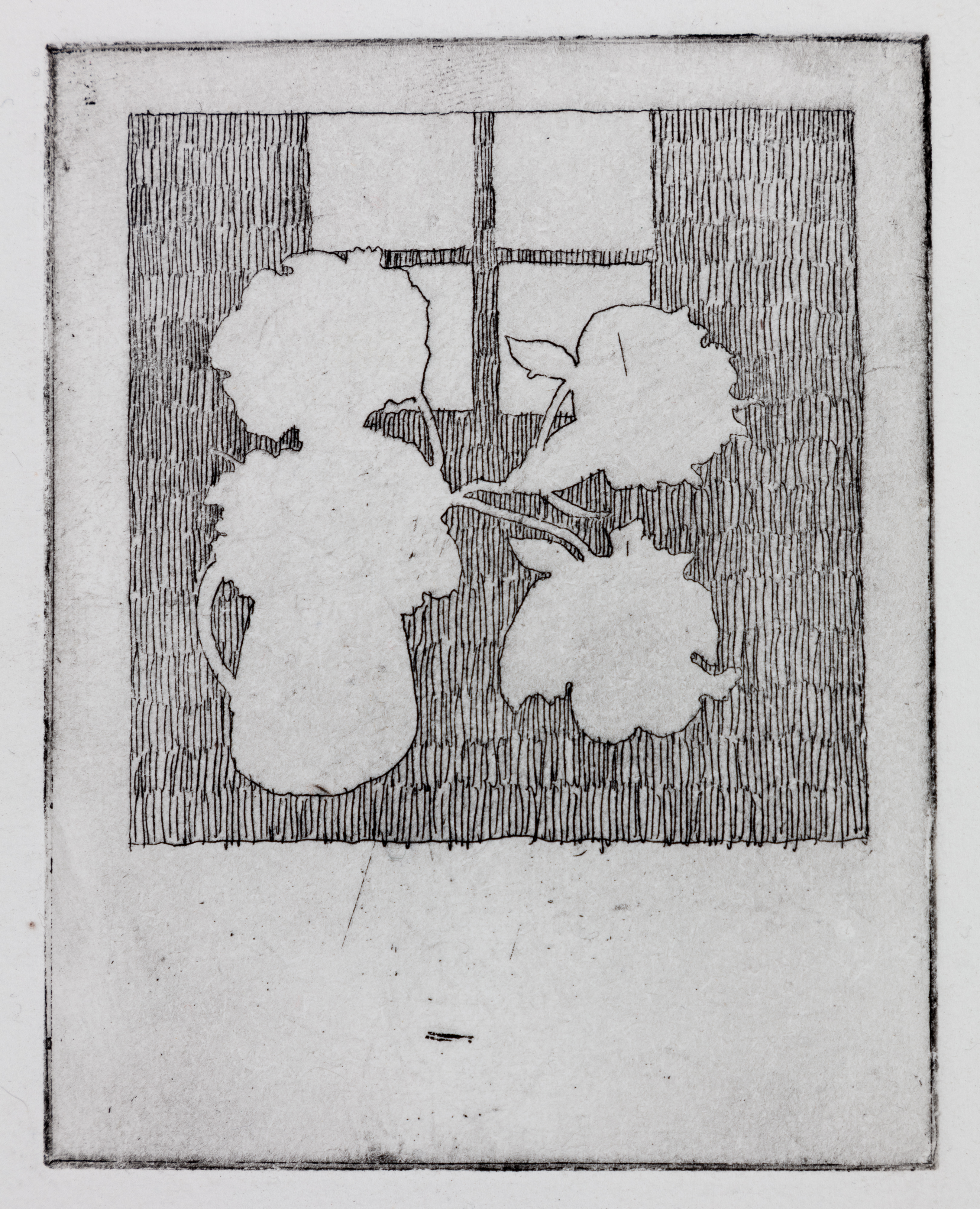 Velvet Coat and White Ruffles