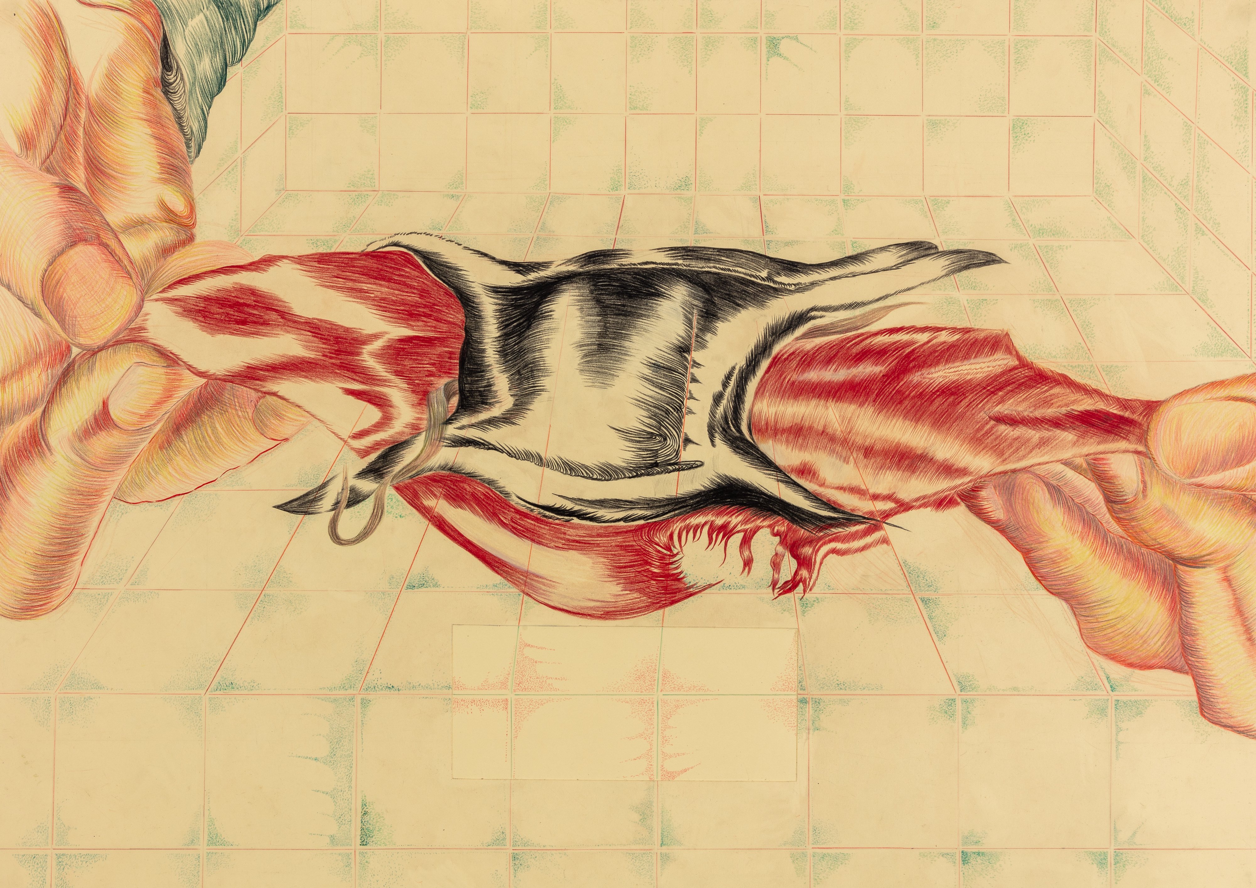 Found Whilst Walking