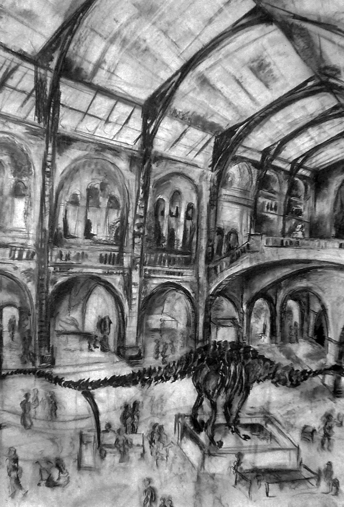 Natural History Study III