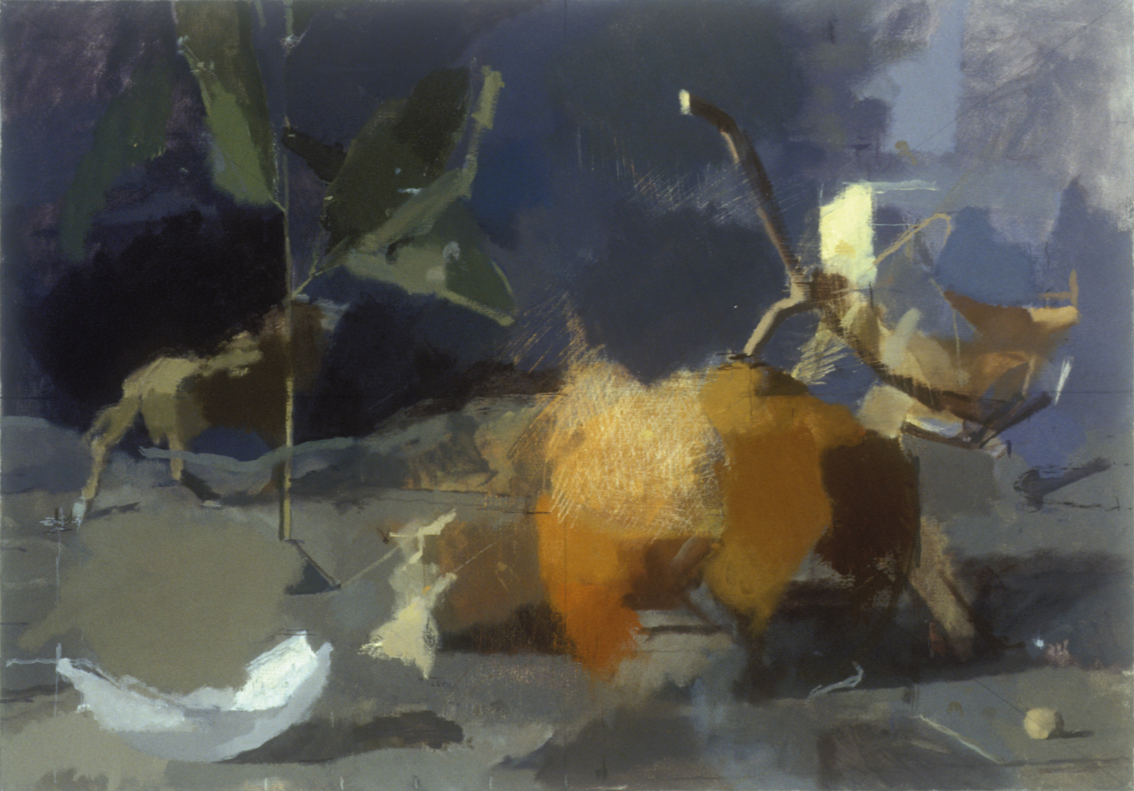 Orange & Wilderbeest