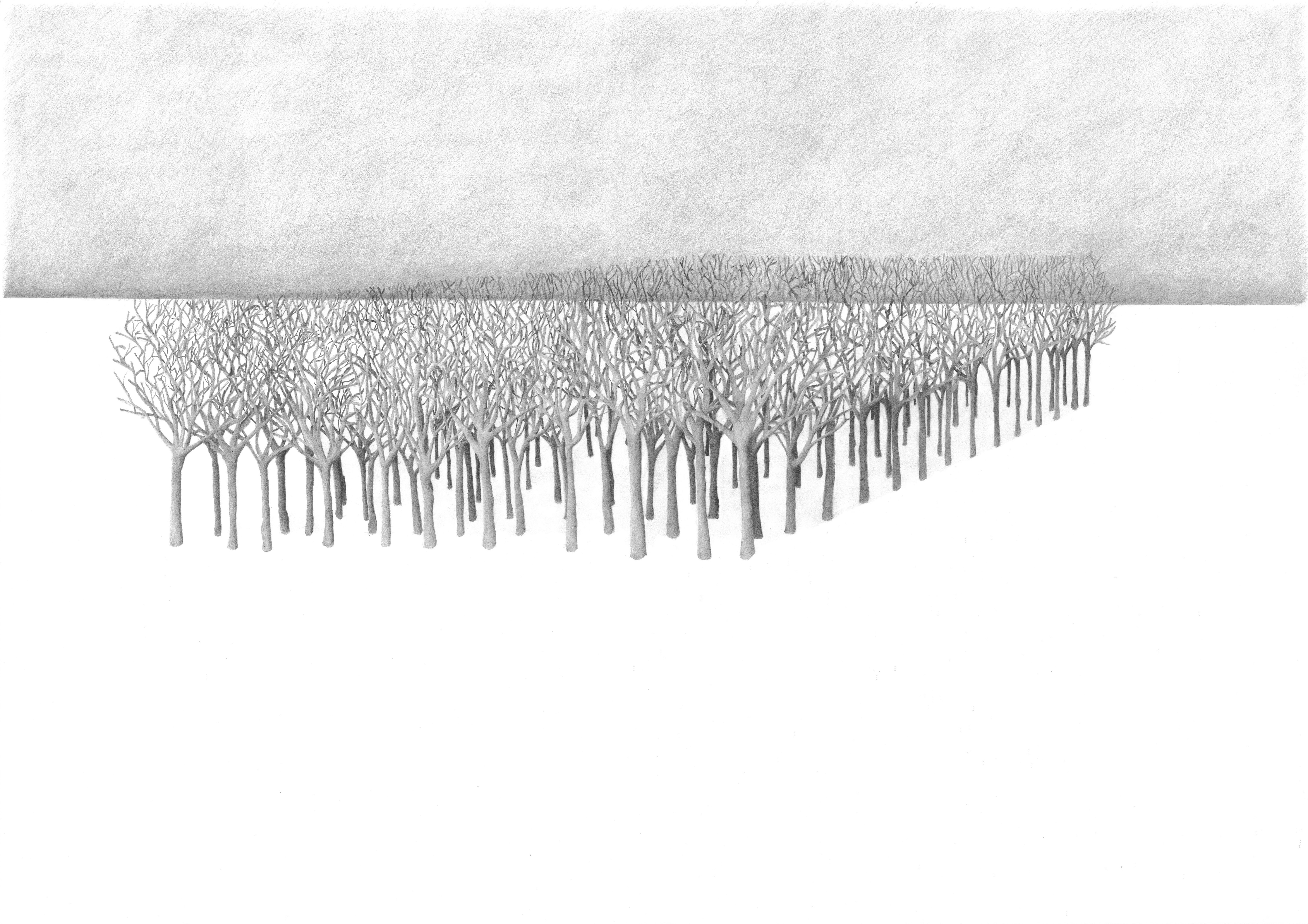 Order No.1 (Tryptych) 