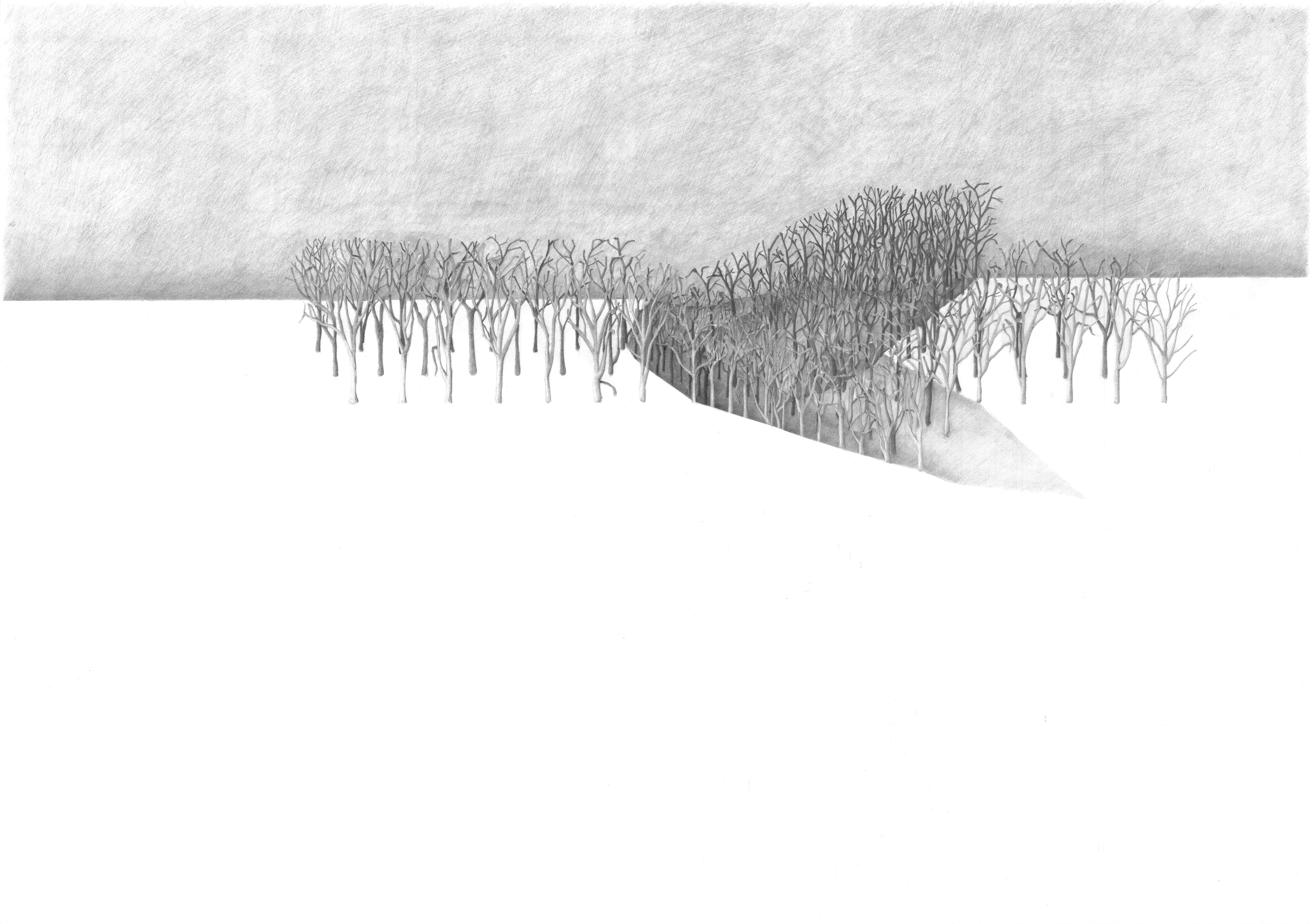 Order No.2 (Tryptych) 