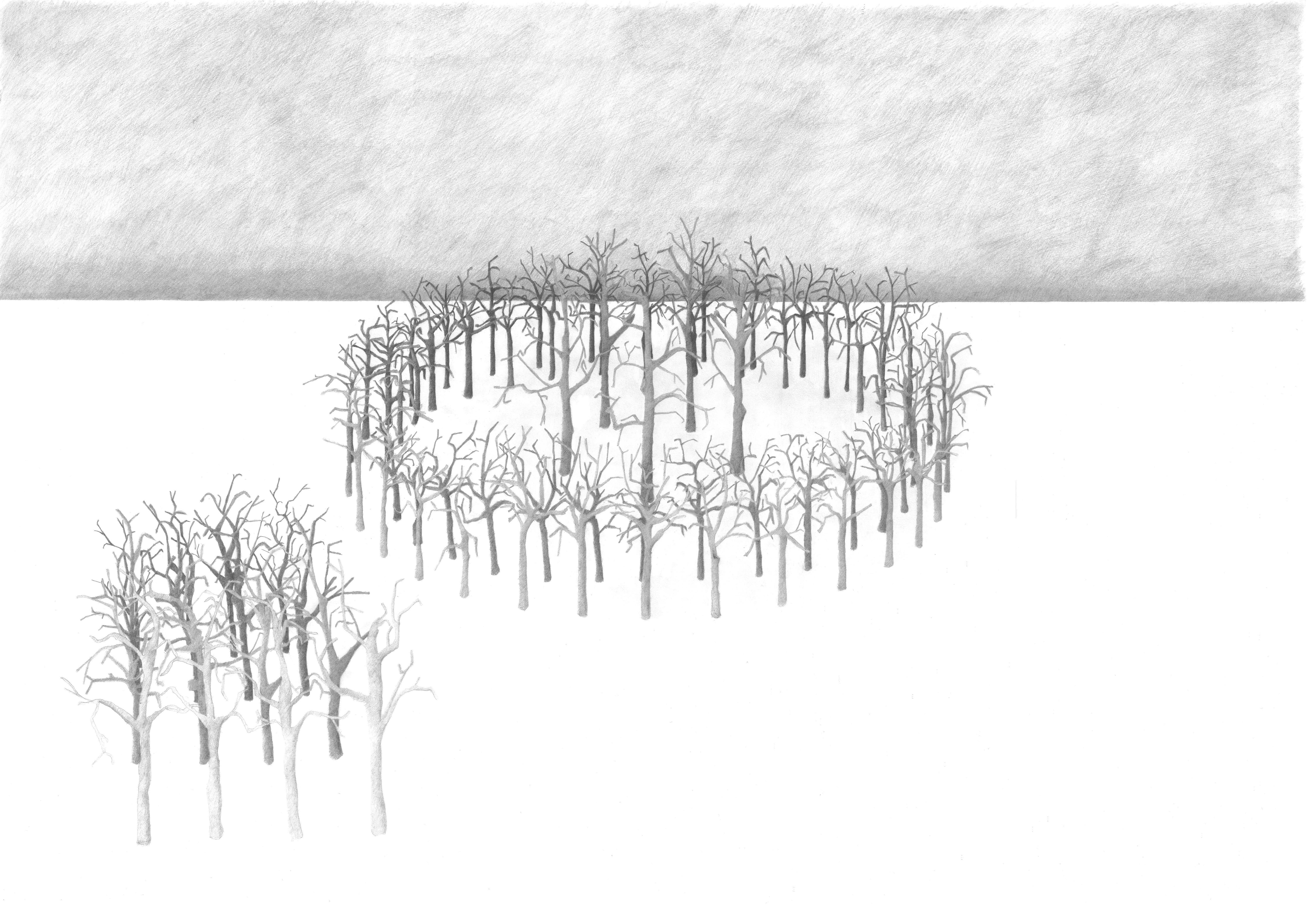 Order No.3 (Tryptych) 