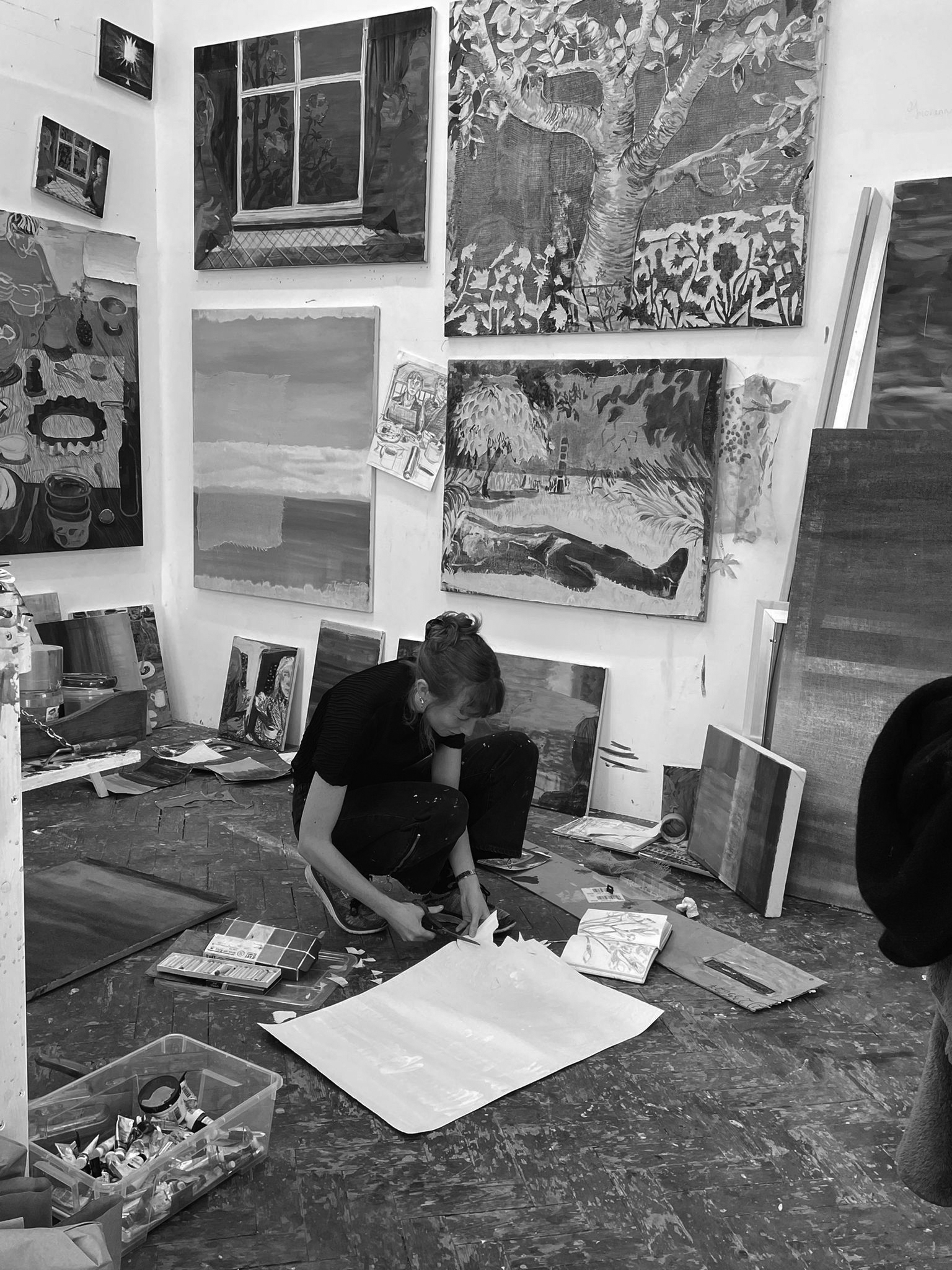 Alice MacdonaldHero Image