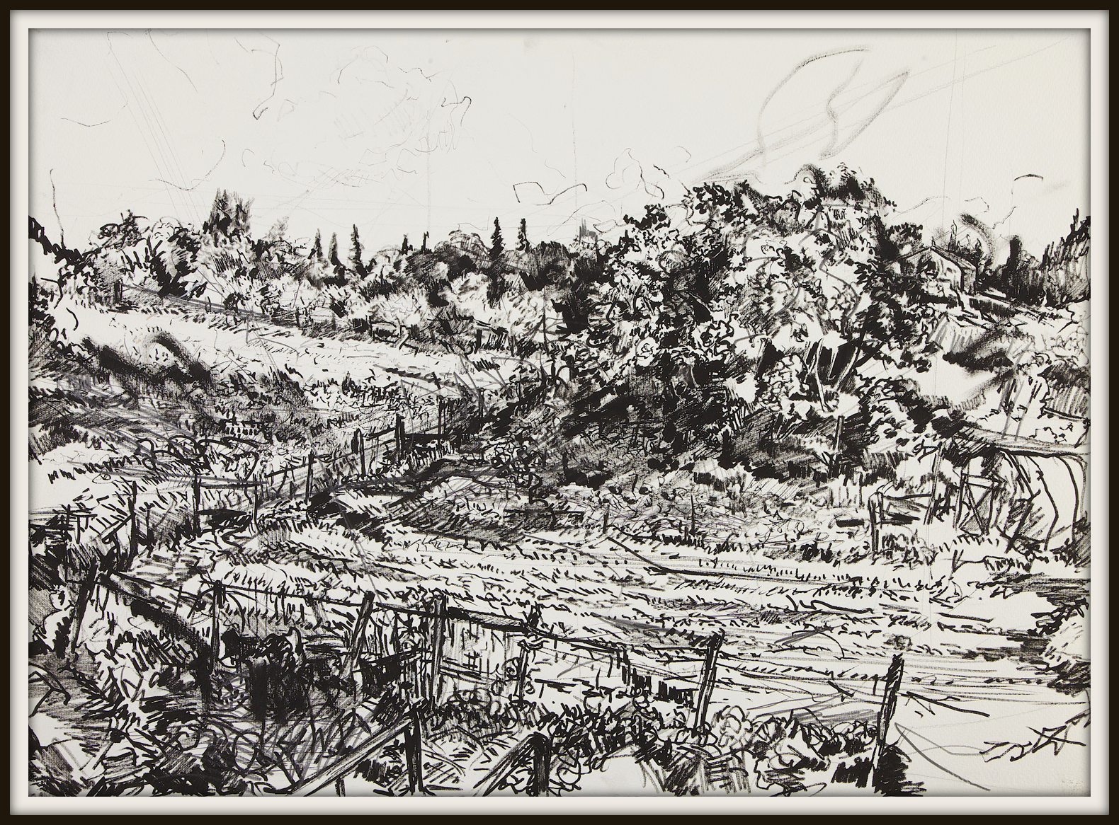 Pignano, the Allotment