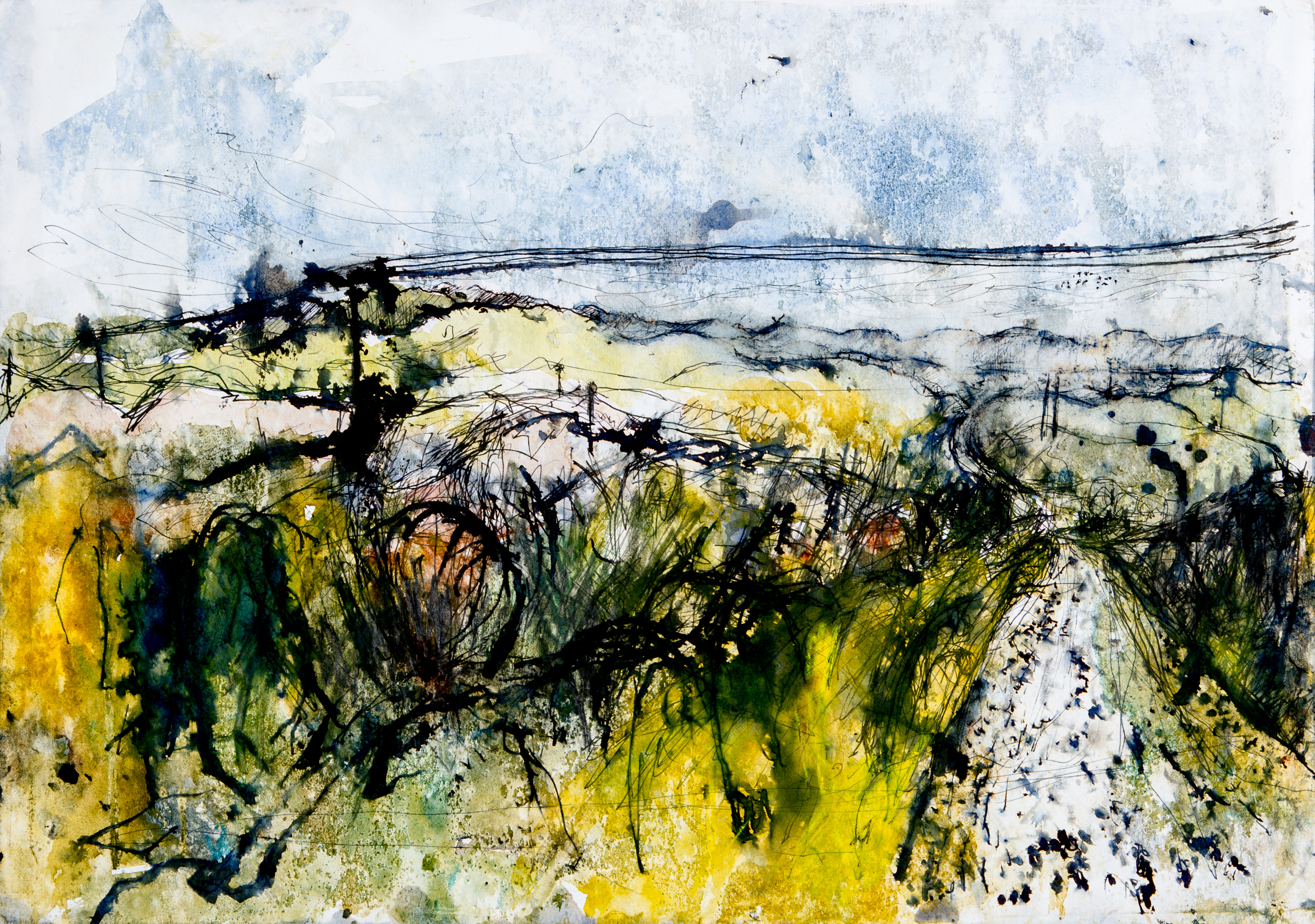 Drawing Flux and Flow: Watercolour and Ink