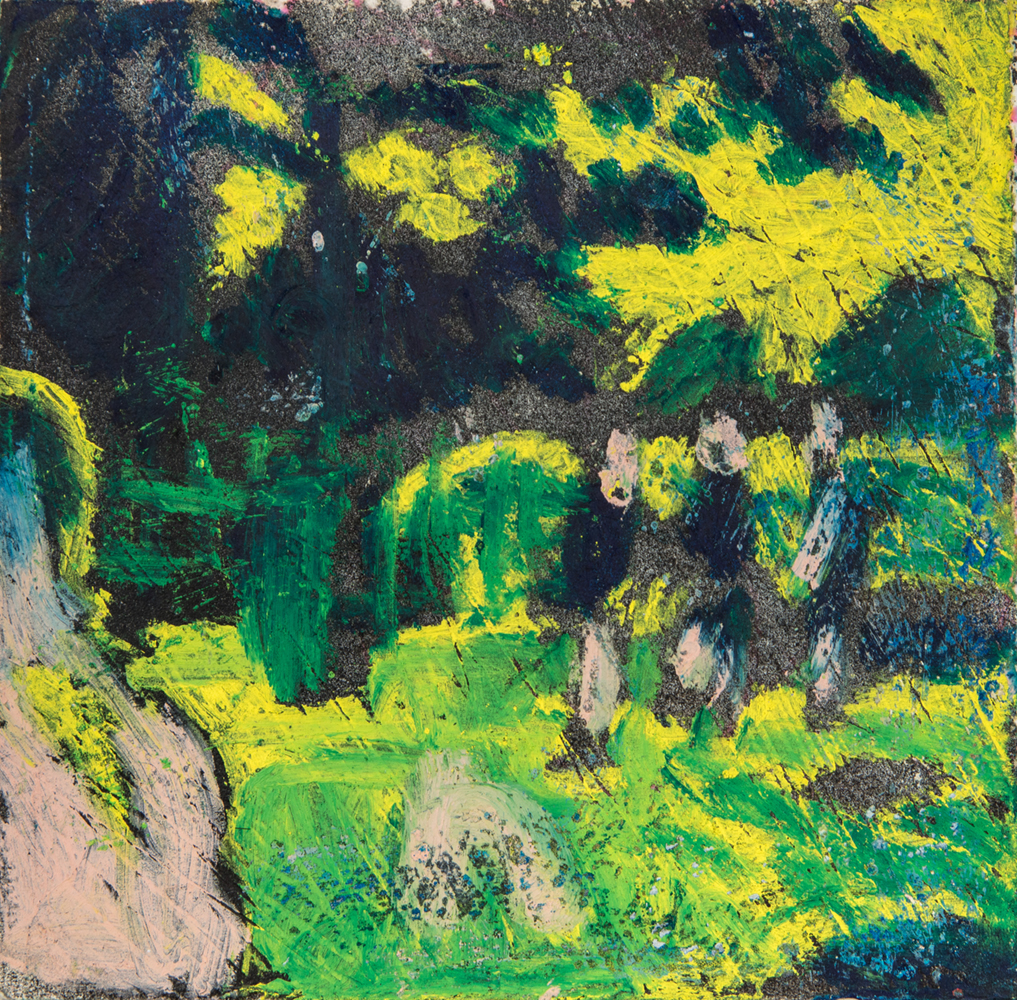 Hampstead Heath, Summer 2019