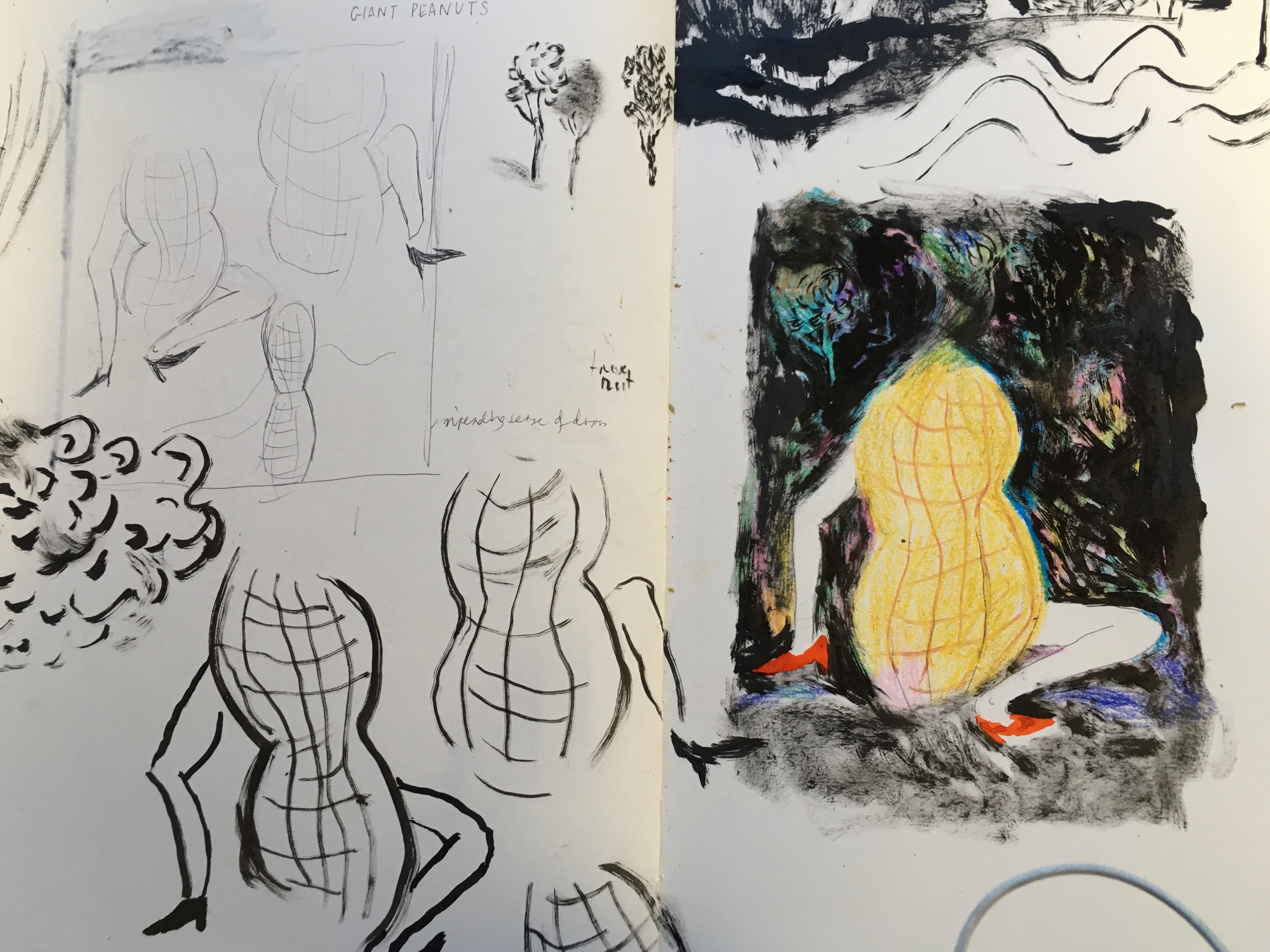 Sketchbook