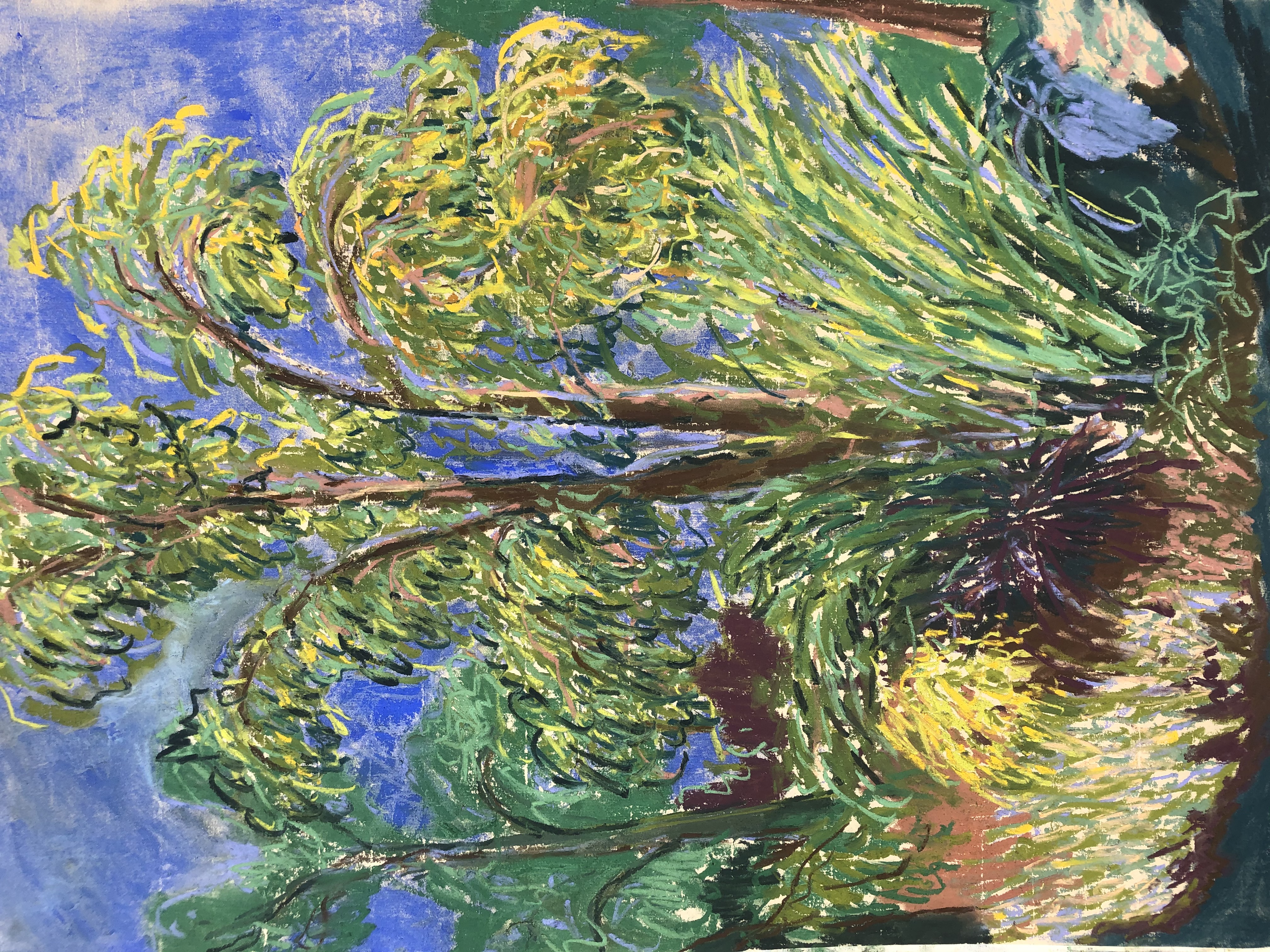 Sycamore and Oak, Town Moor