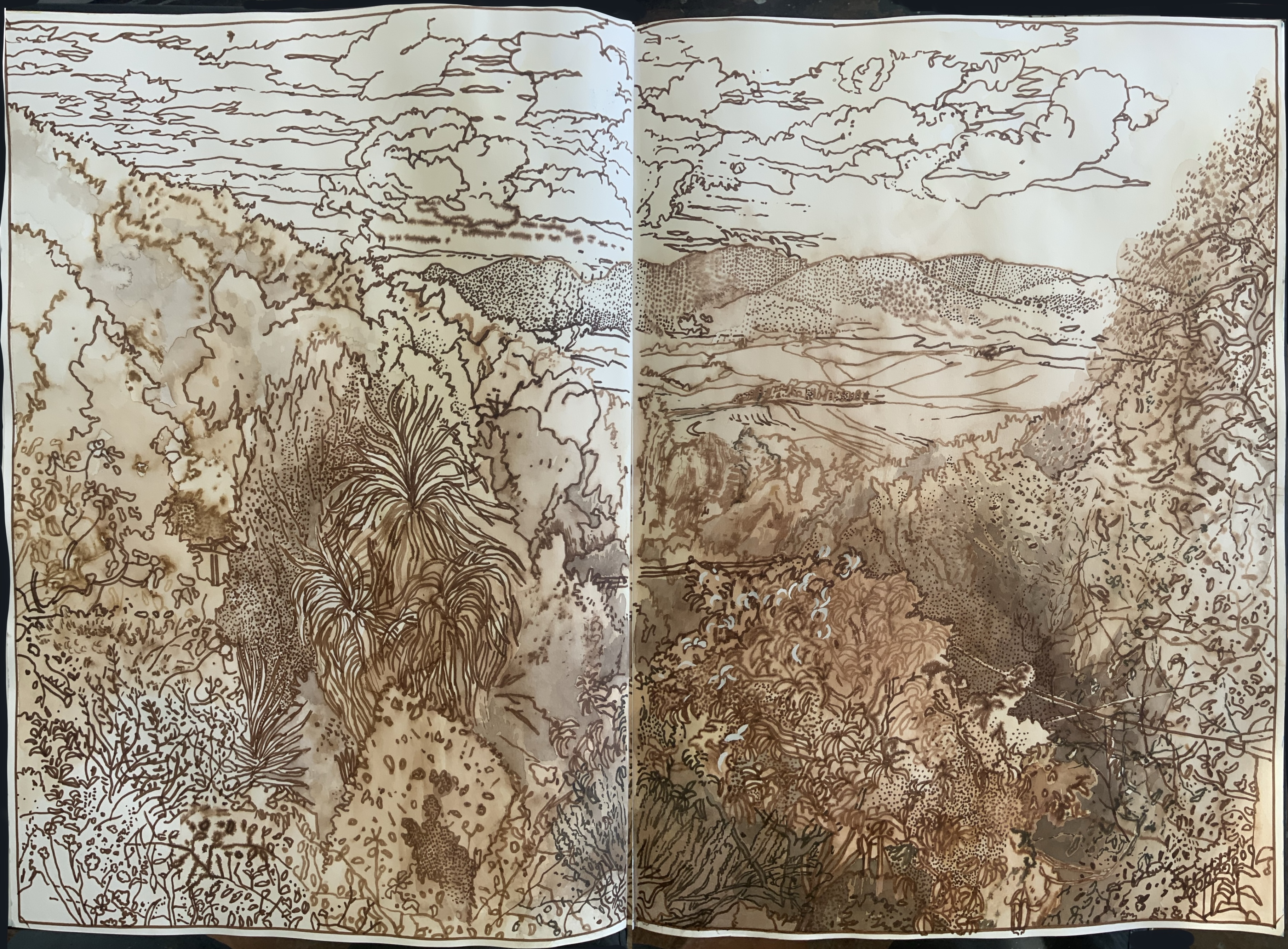 Tuscan Landscape near Pisa