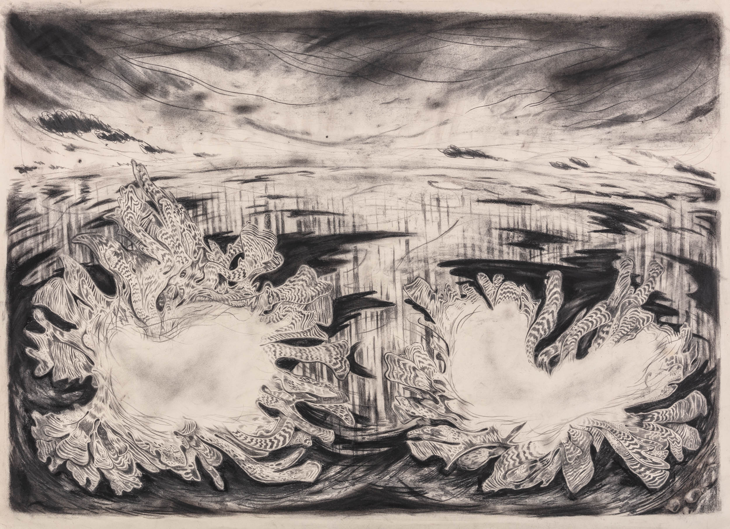 Two Seaweeds with Voids (They Came and They Went)