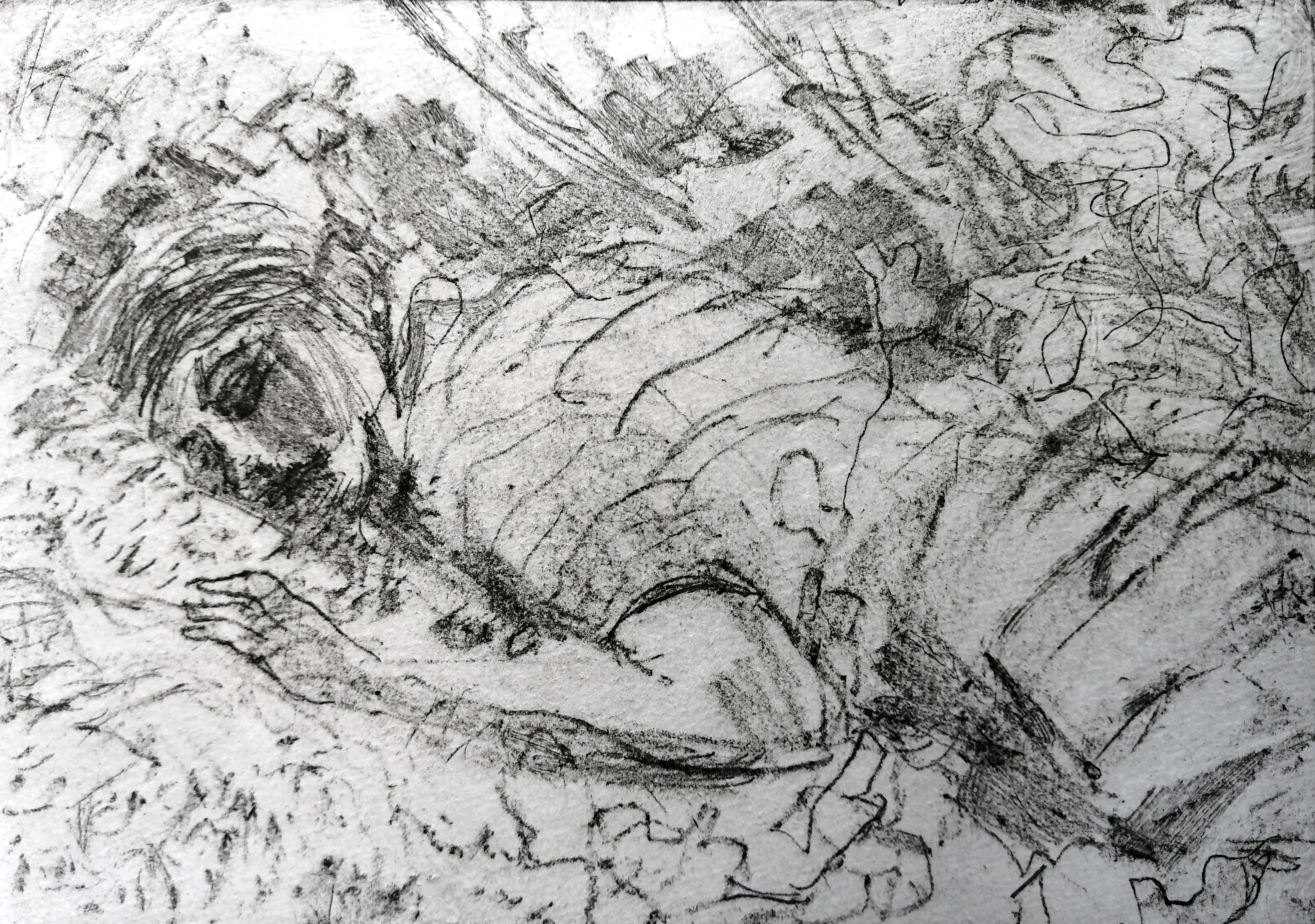 And it was dark, but light