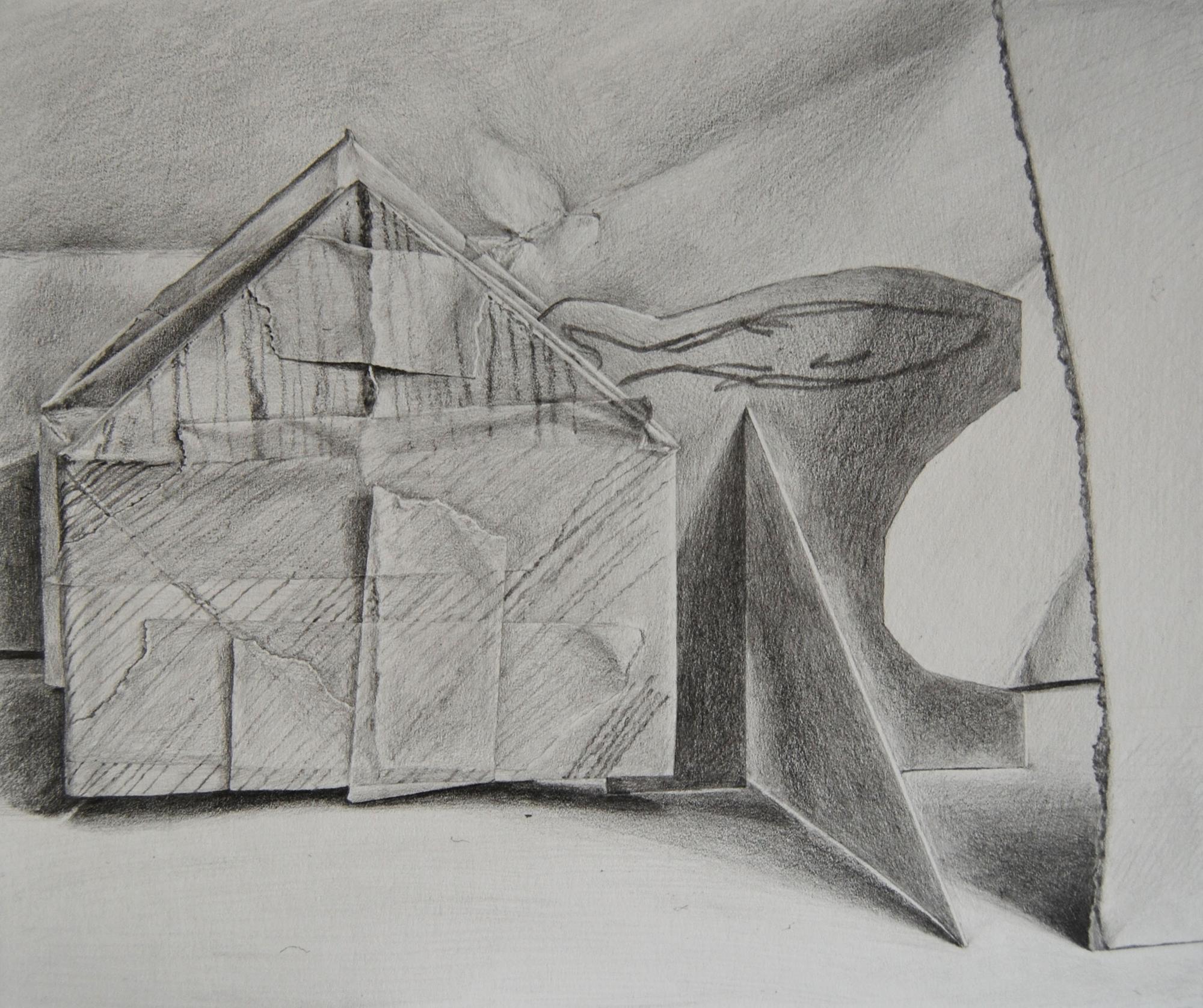 Fish out of the house