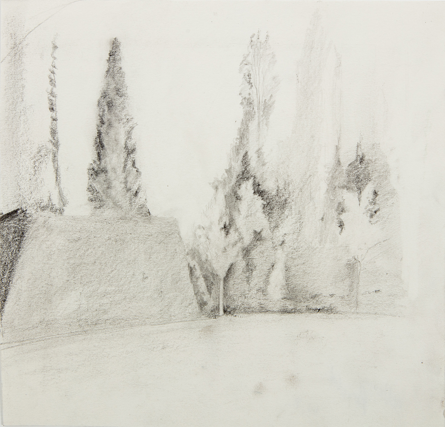 Regent's Park, Sunny Morning