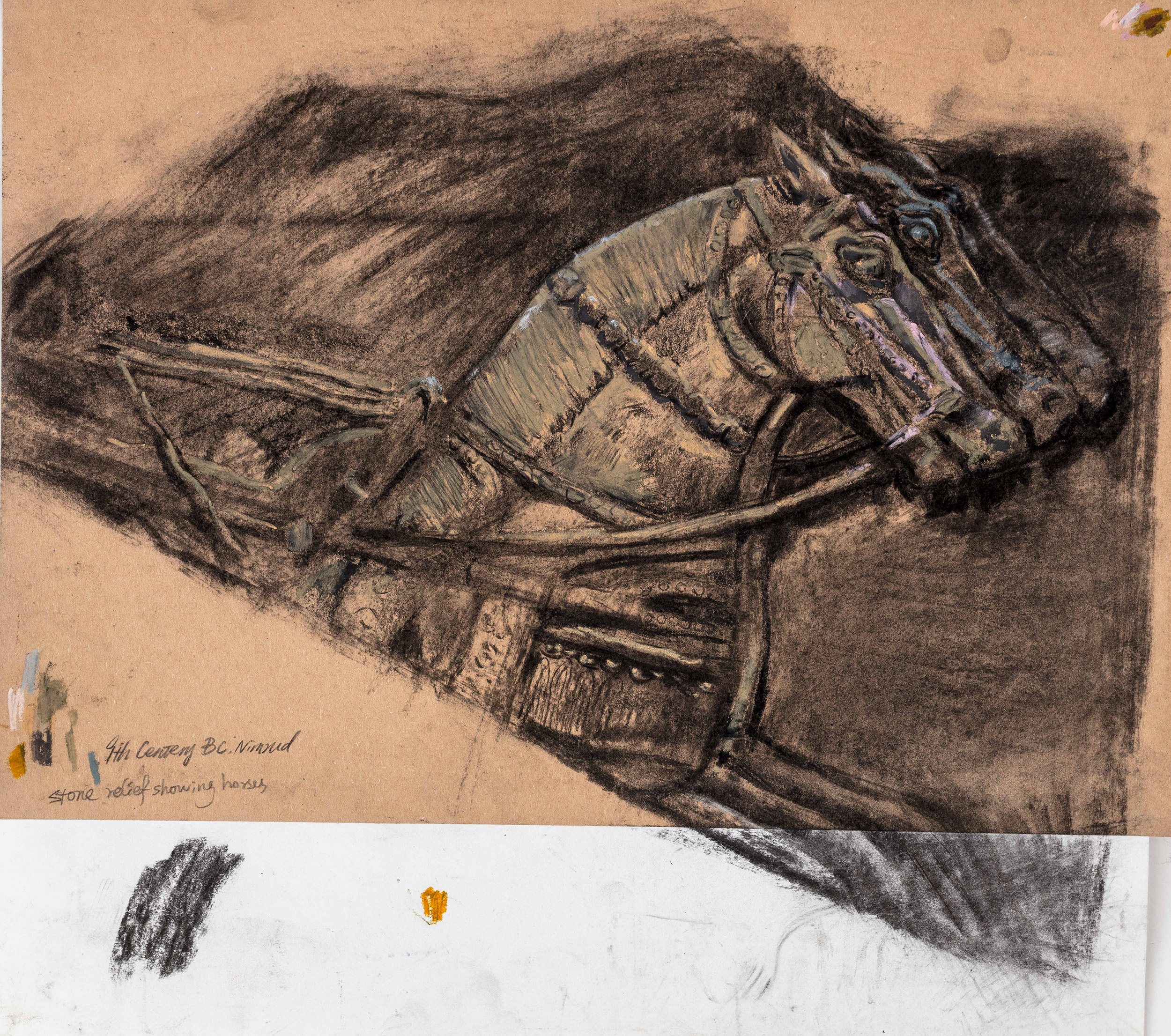 Drawing from Museum Collections