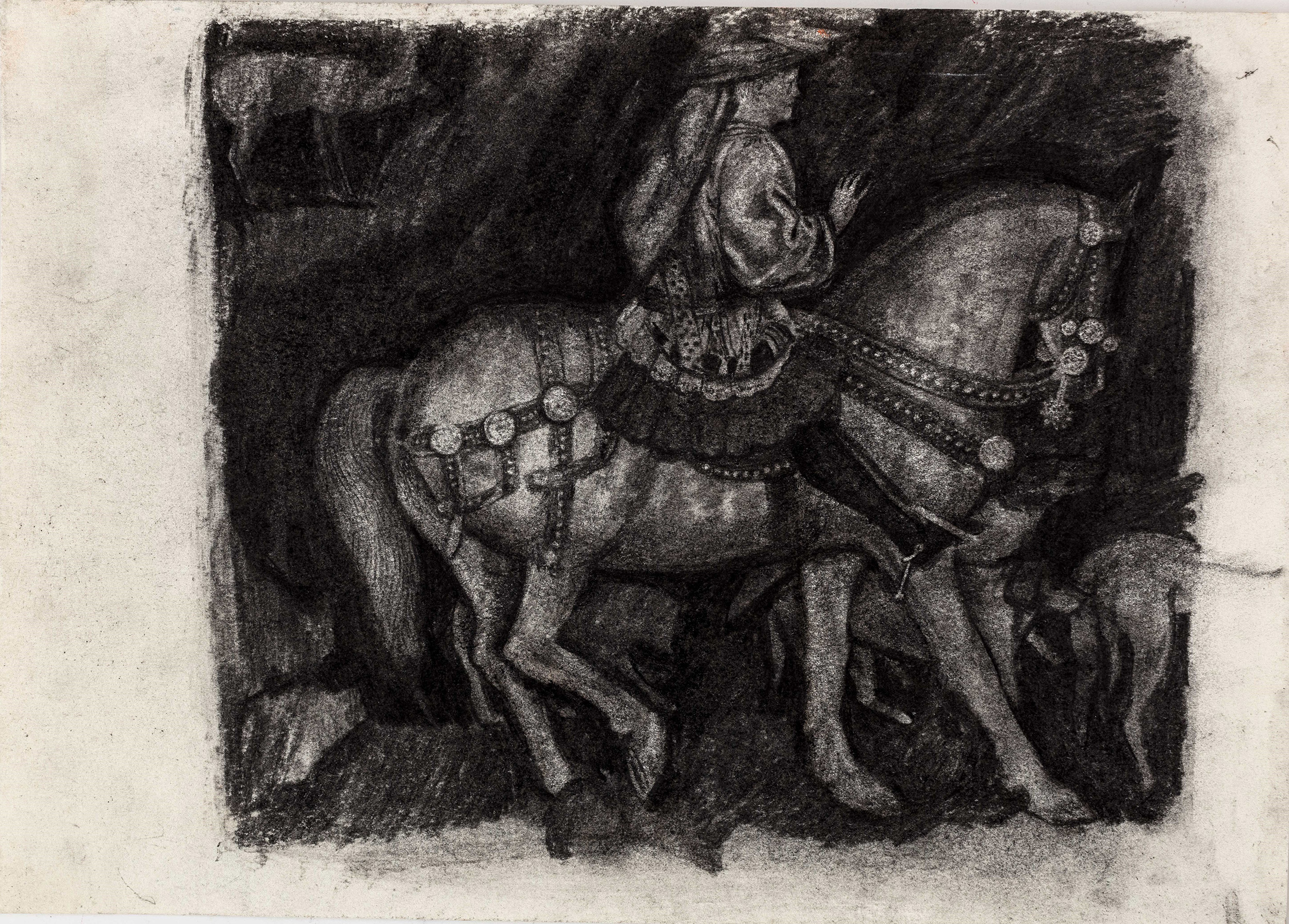 The Artist's Eye: Drawing from Natural History