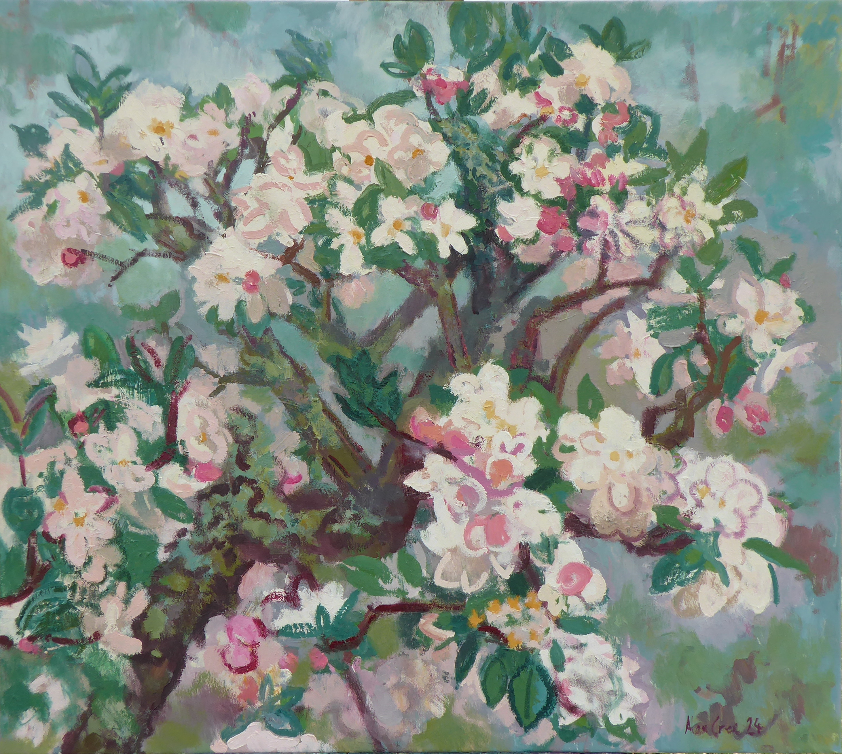 apple blossom