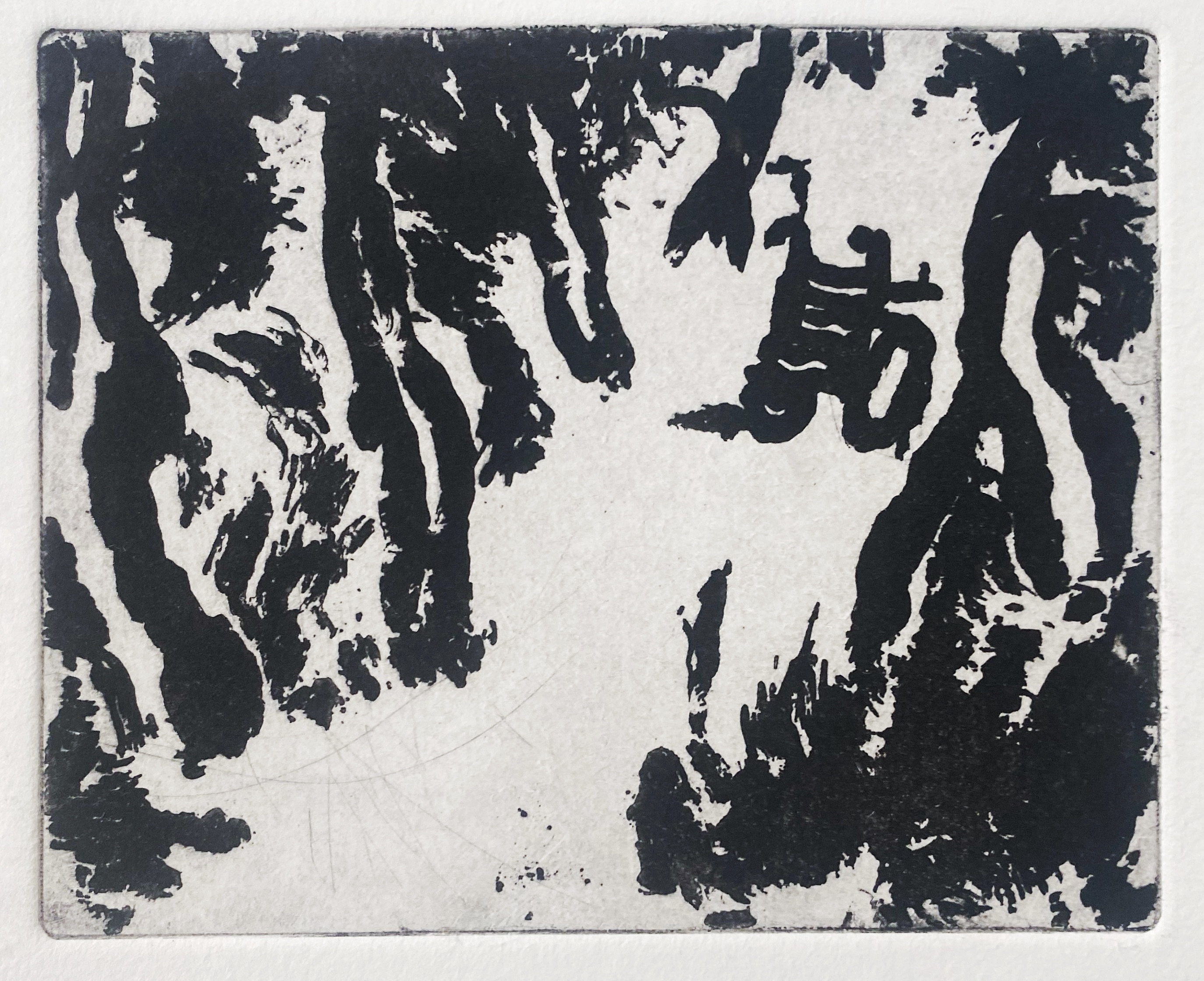 Wheelchair at Dumfries