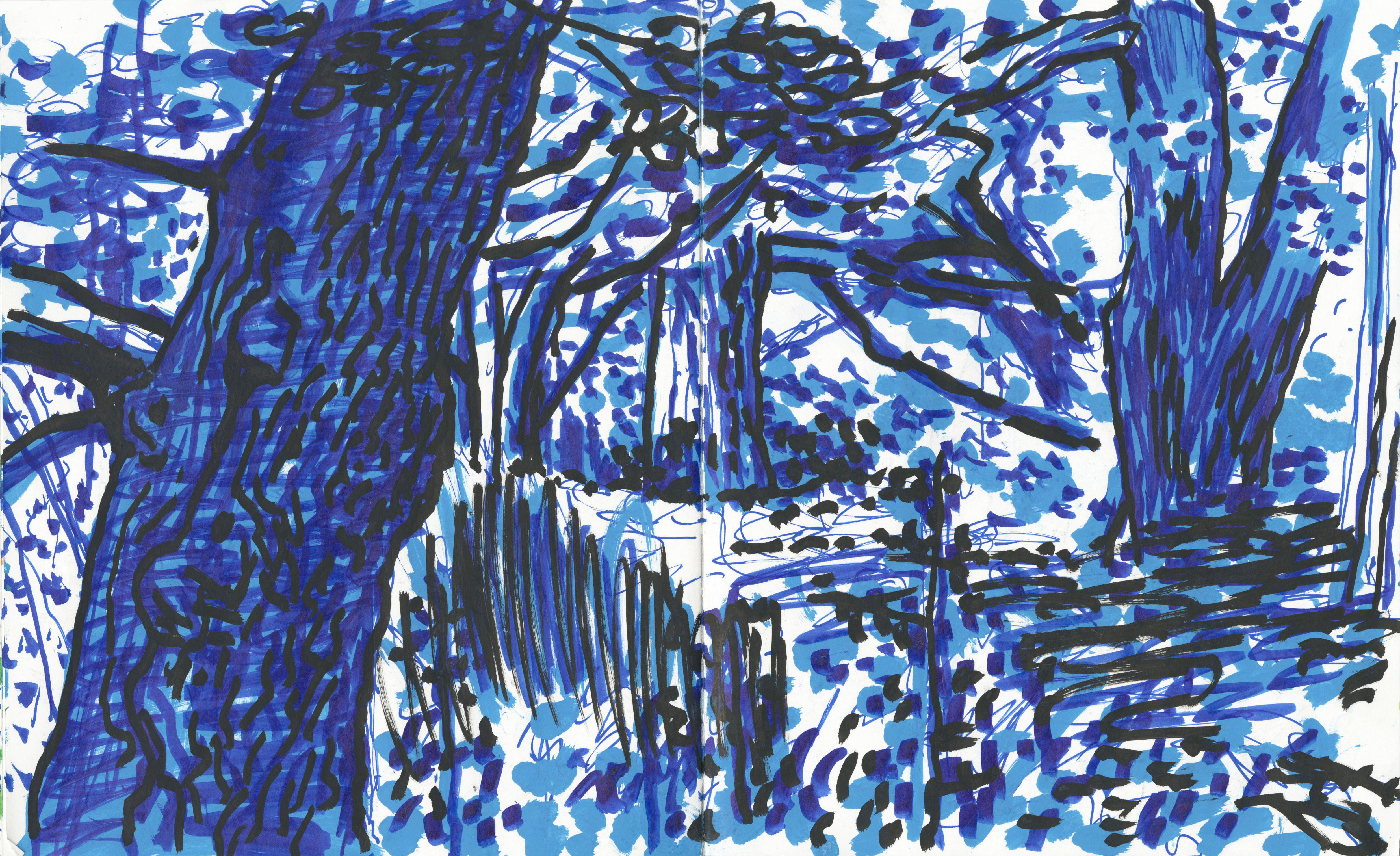 Old Oak Wood