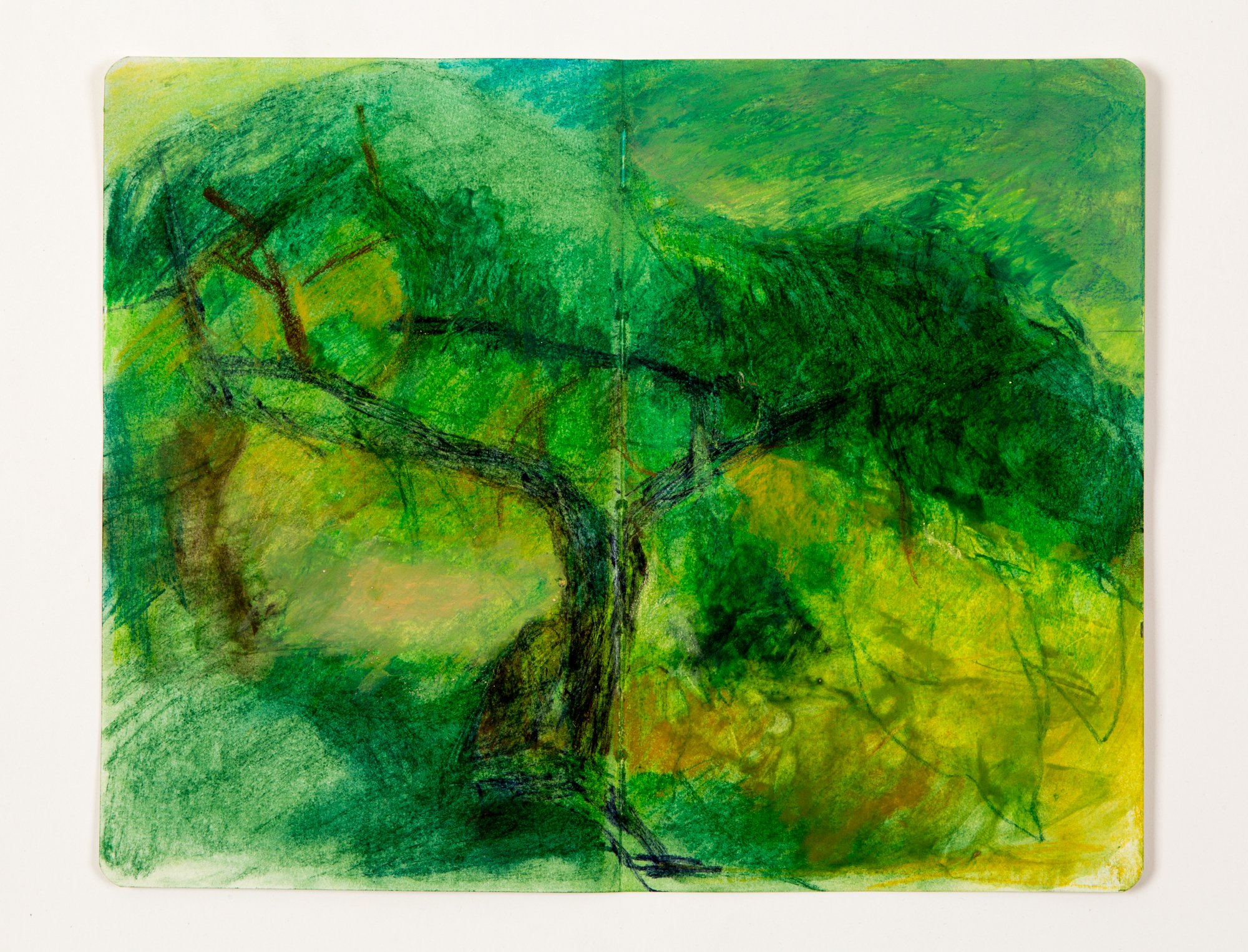 Another Tree