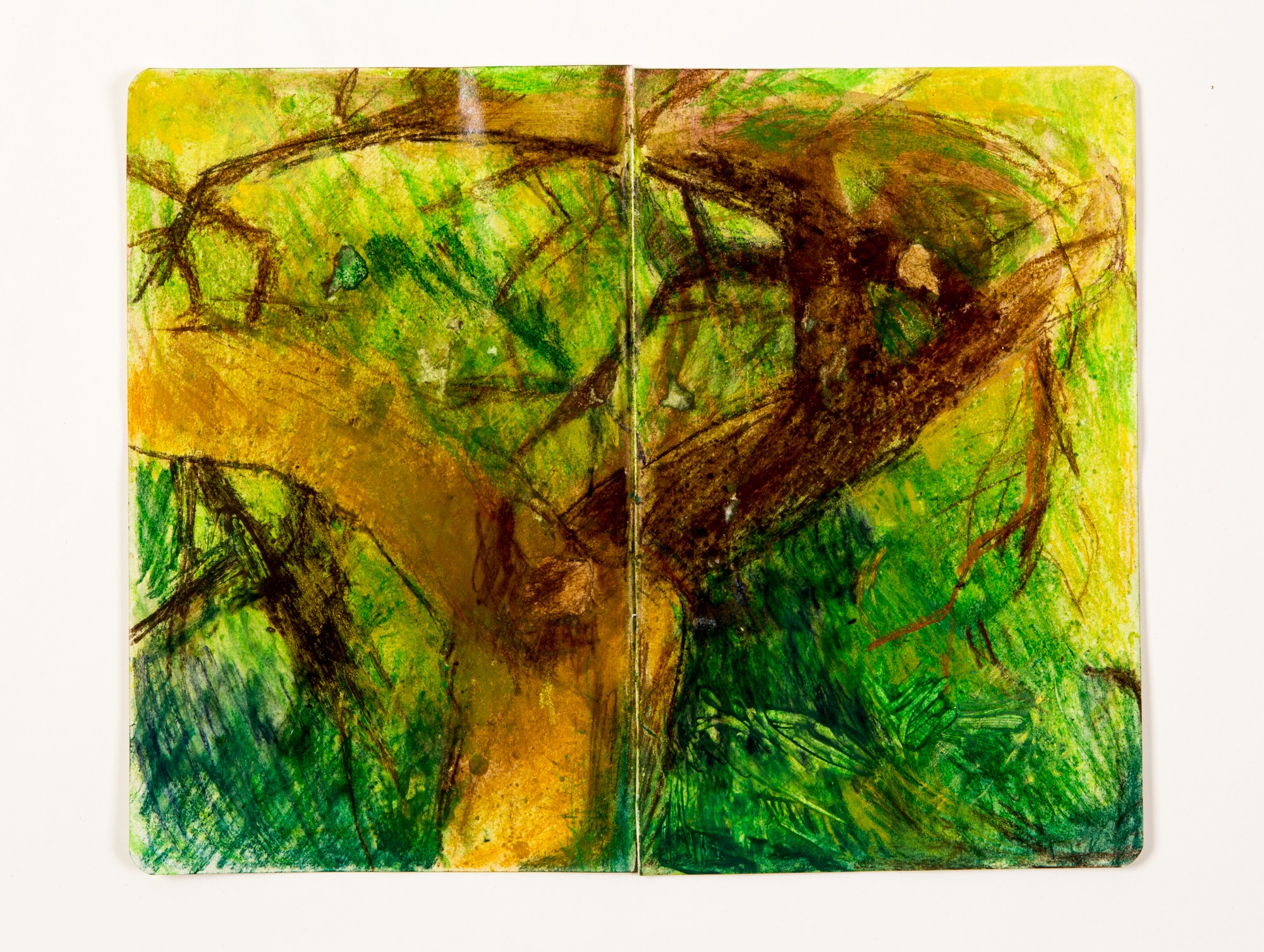 Branches
