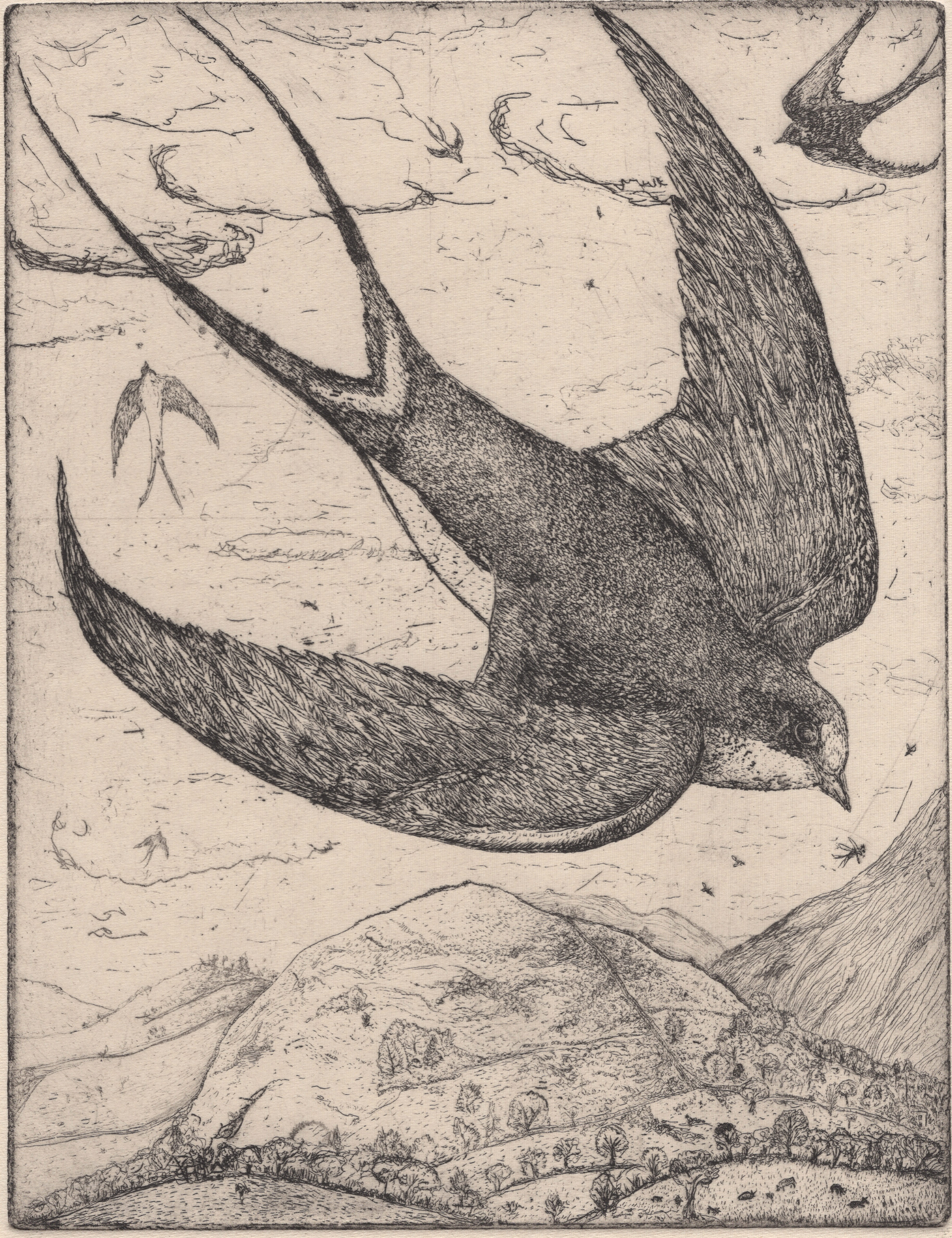The Swallows Return