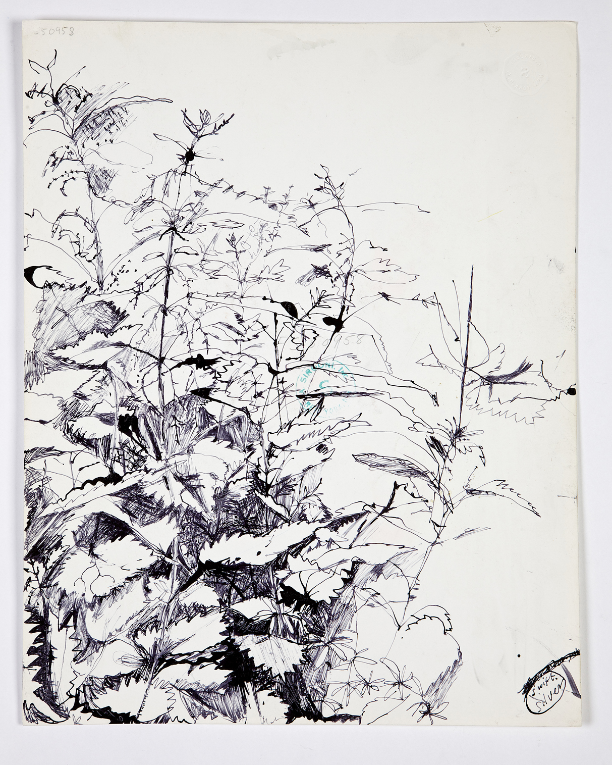 Nettle Woods