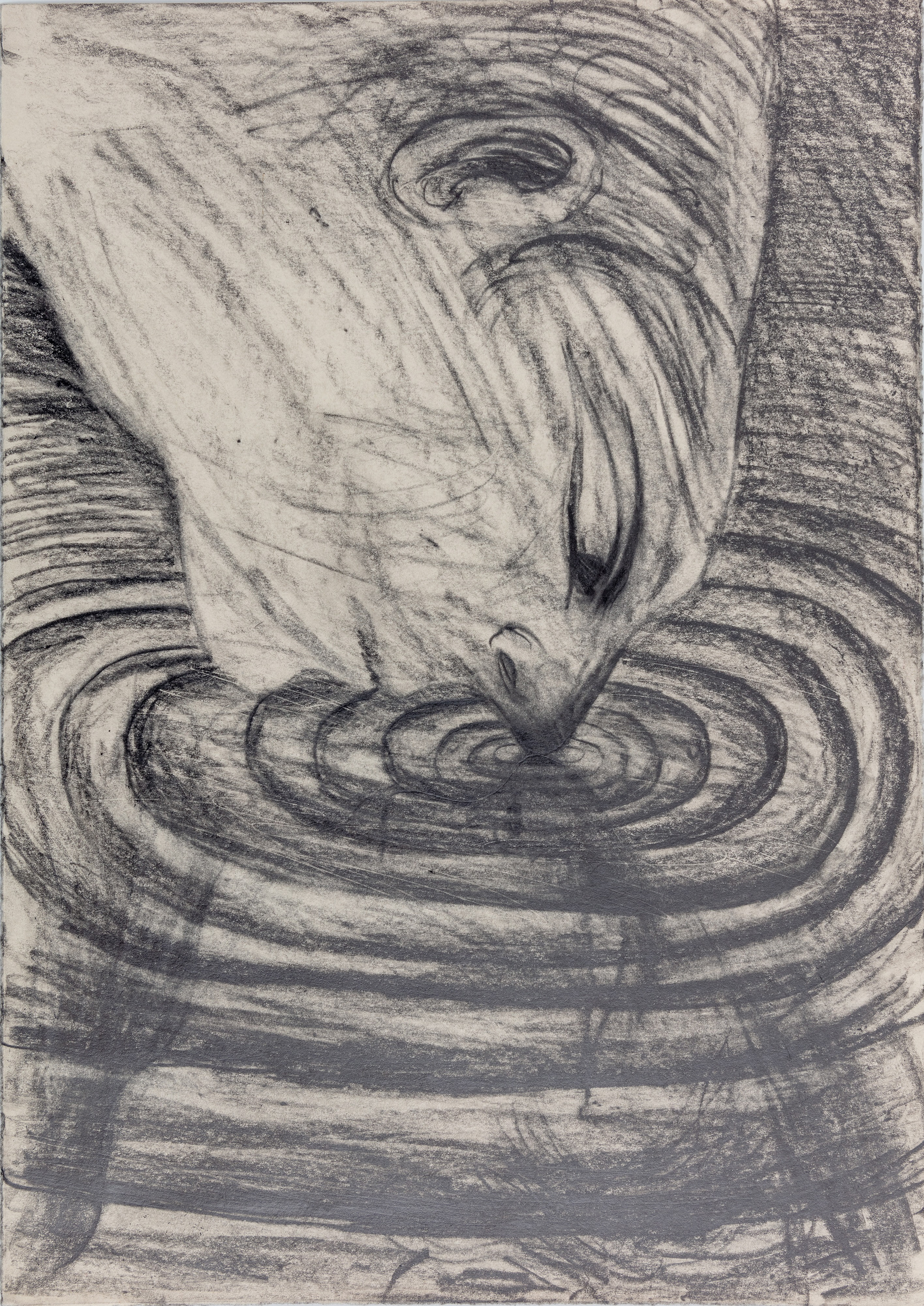Ripples