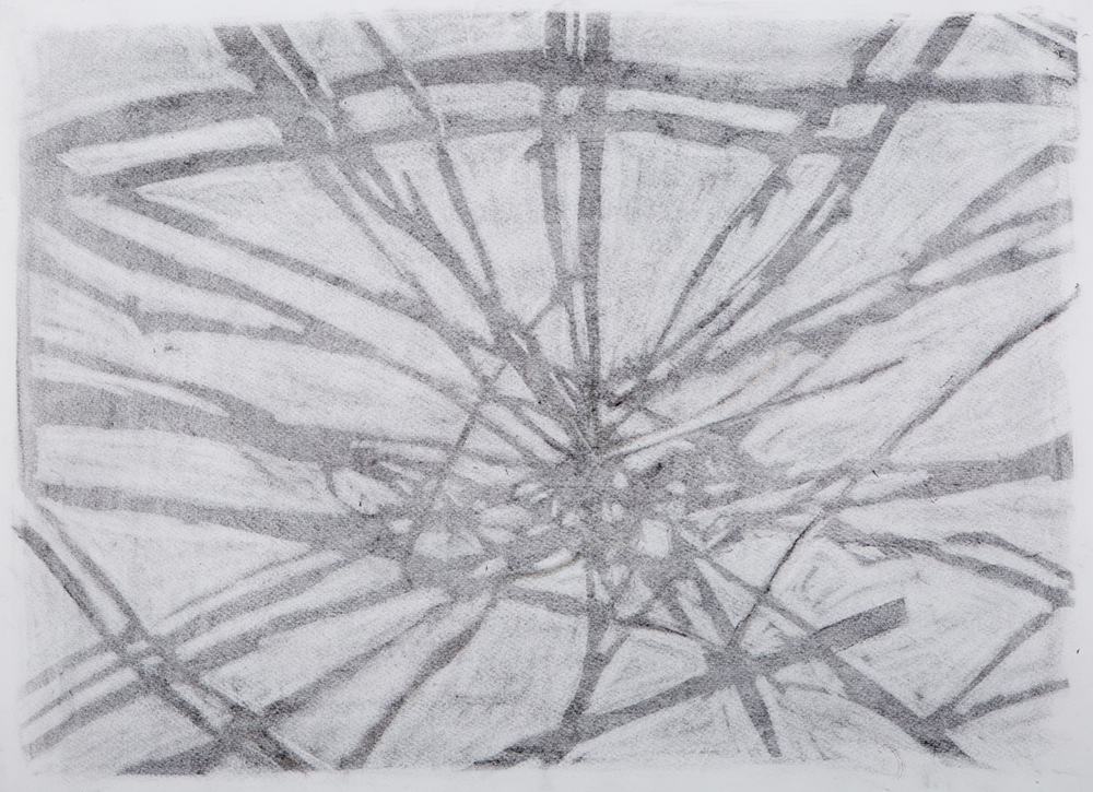 Sticks