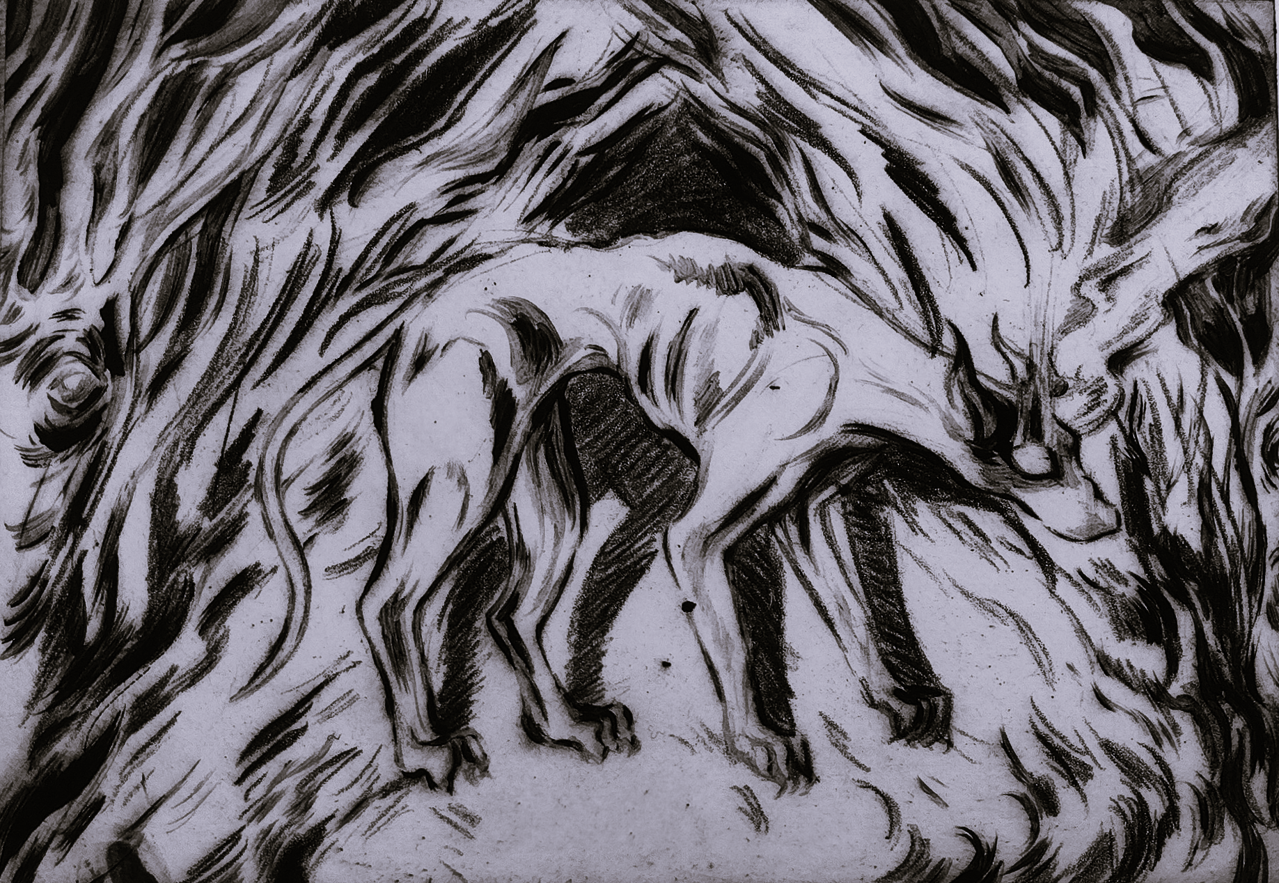 The Black Dog