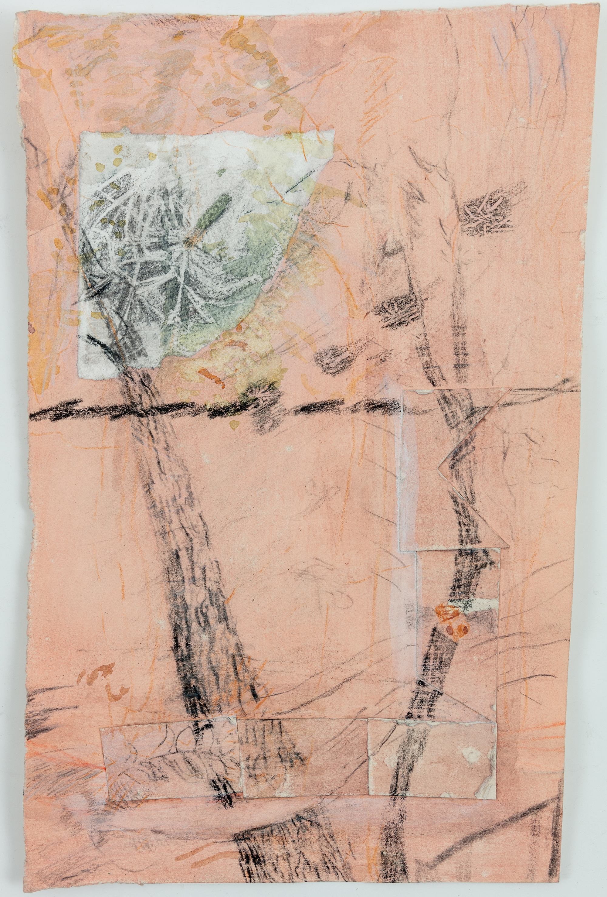 Alder with Willow Seeds (Camley Street)