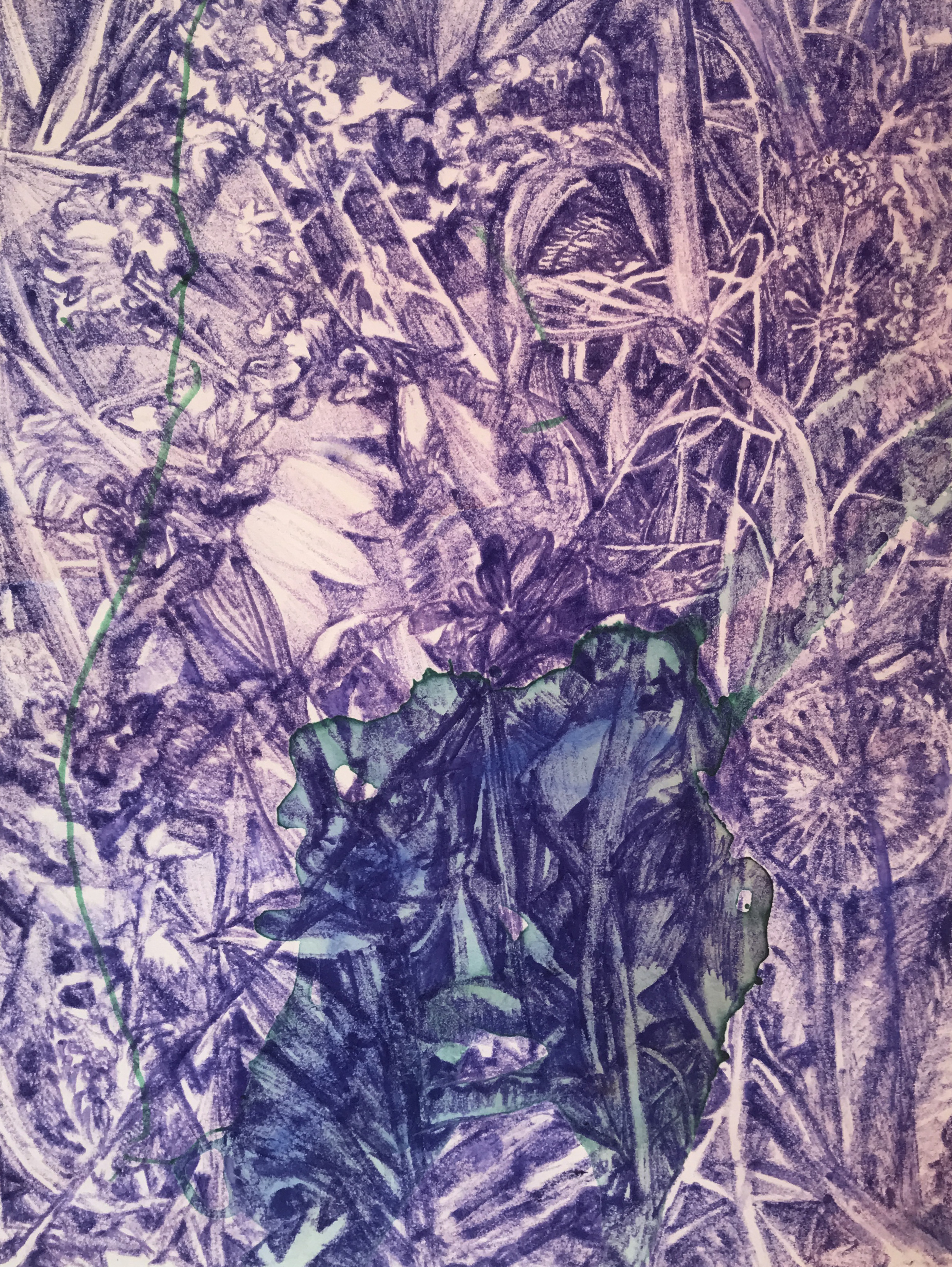 Undergrowth