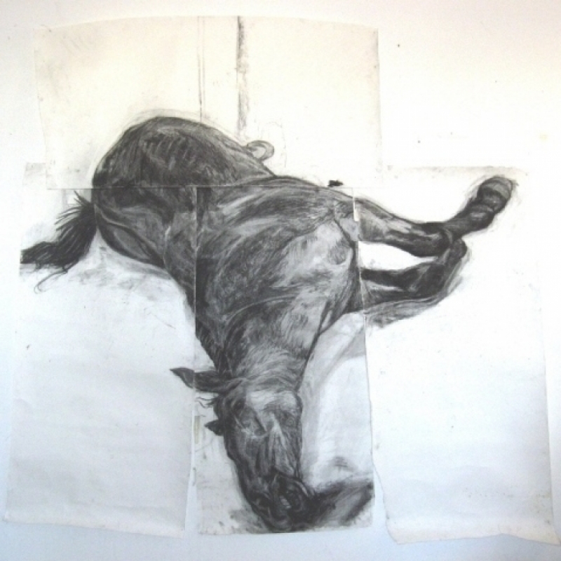 Dead Horse