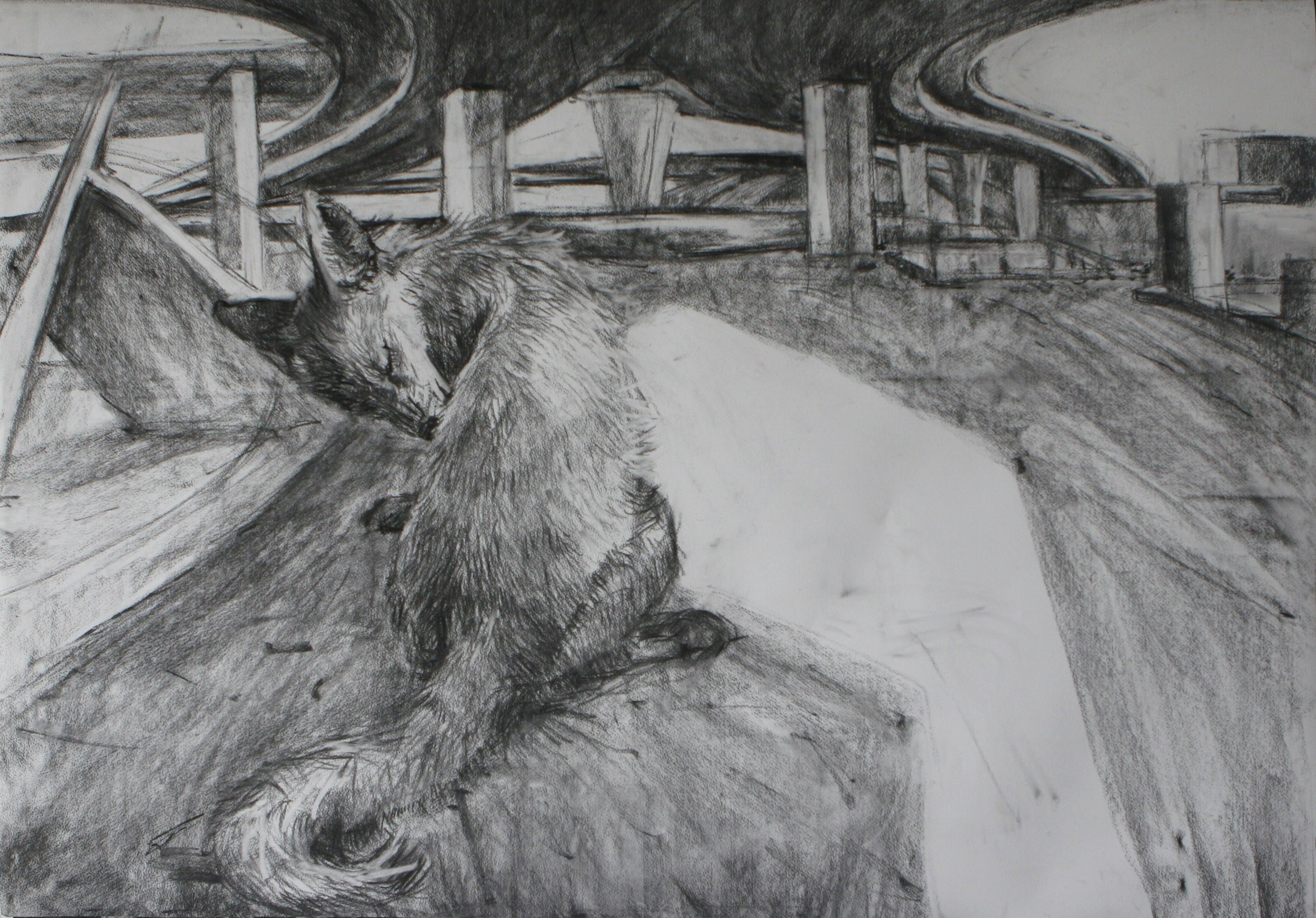 Fox in Westway