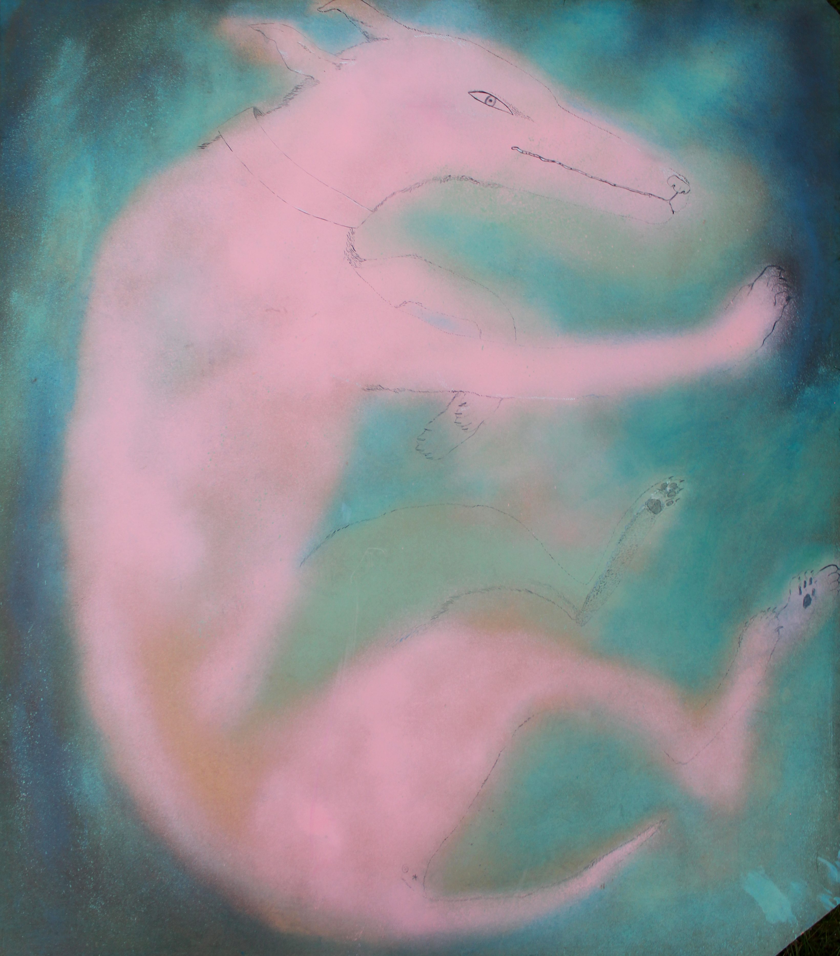 Ponyo