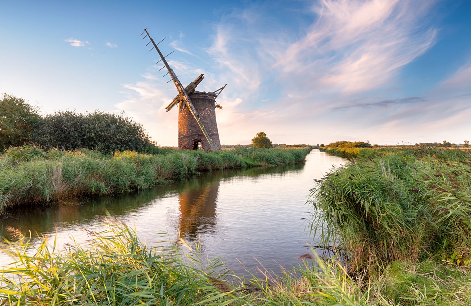 Getting back to nature in Norfolk: Crabbing, seals and den building