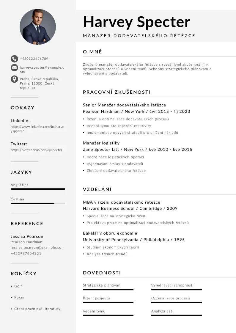 Mūsdienīga Manazer dodavatelskeho retezce zivotopis CV veidne