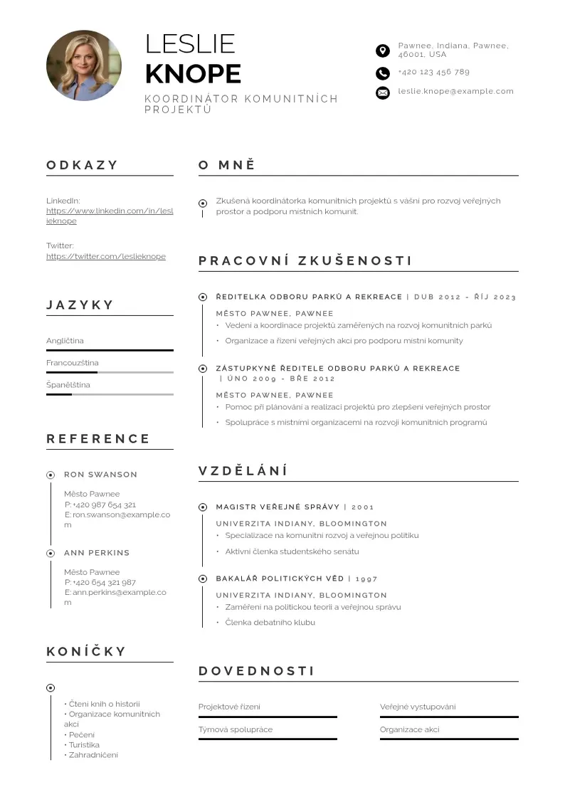 Profesionāla naborar CV veidne