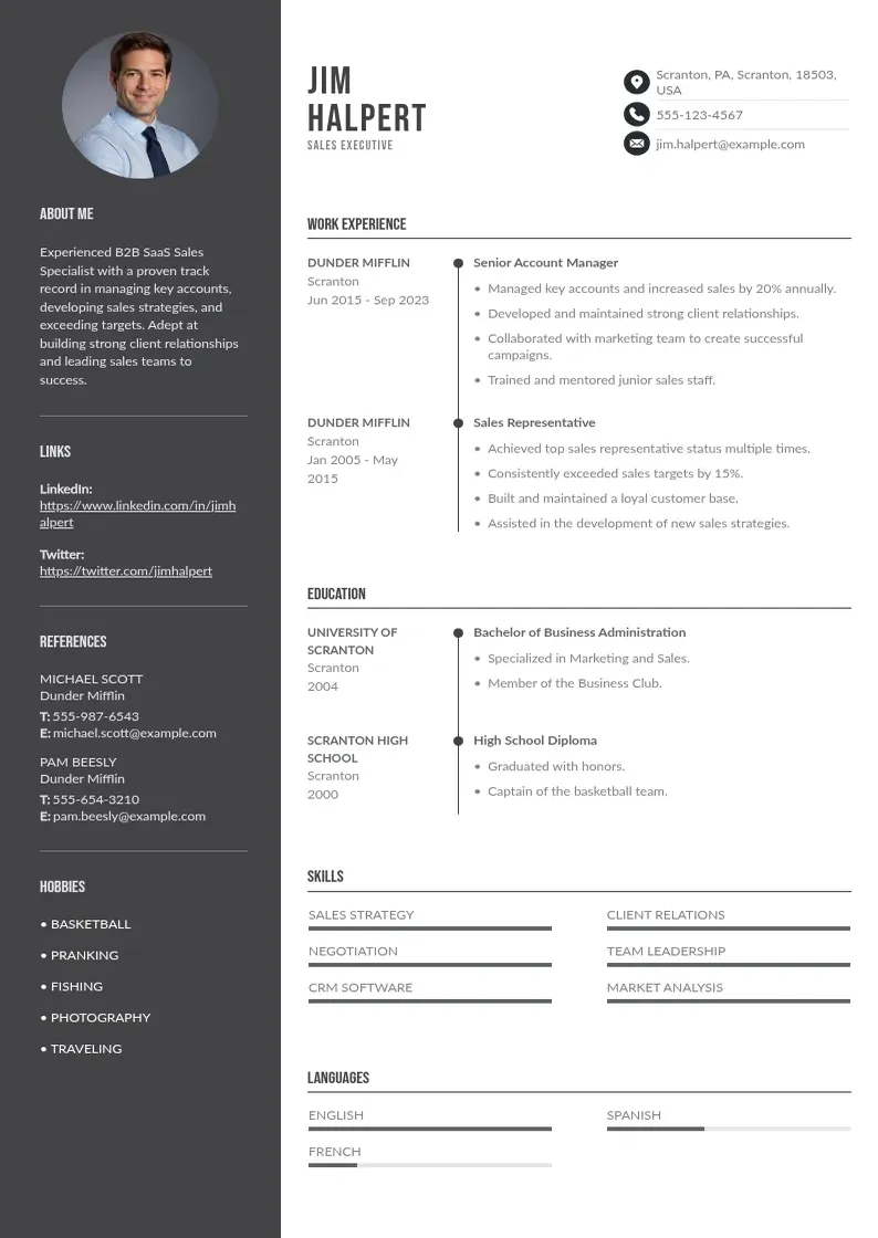 two column saas-b2b-sales-resume resume example