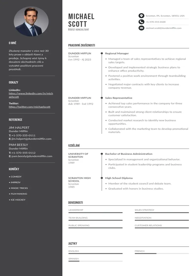 Divu kolonnu Ridici konzultant zivotopis CV piemērs