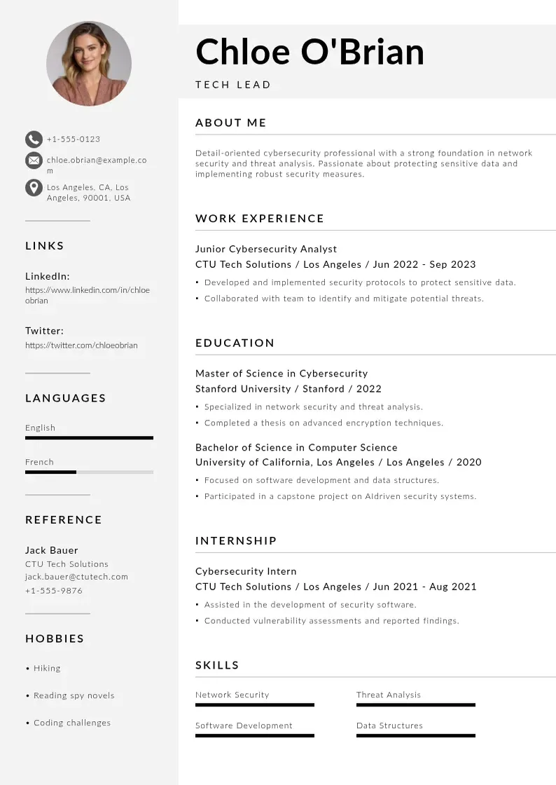 modern Tech Lead resume template