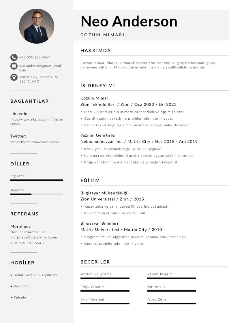 Mūsdienīga Çözüm Mimarı  CV veidne
