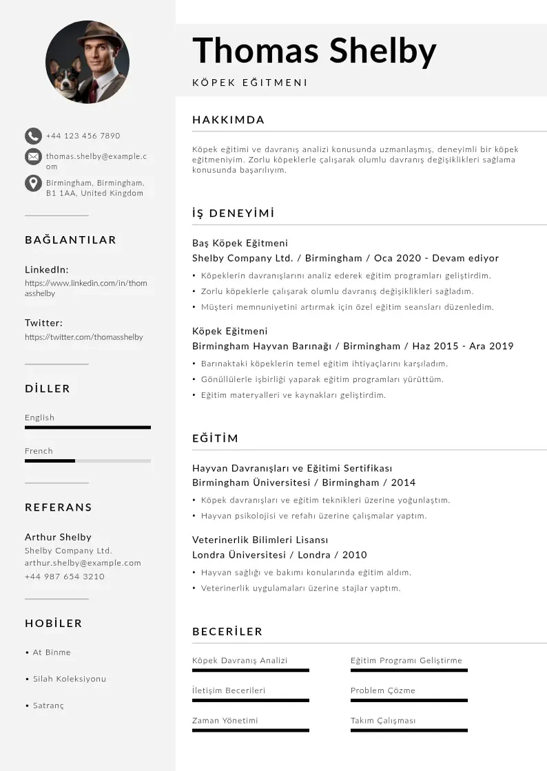 Mūsdienīga Köpek eğitmeni  CV veidne