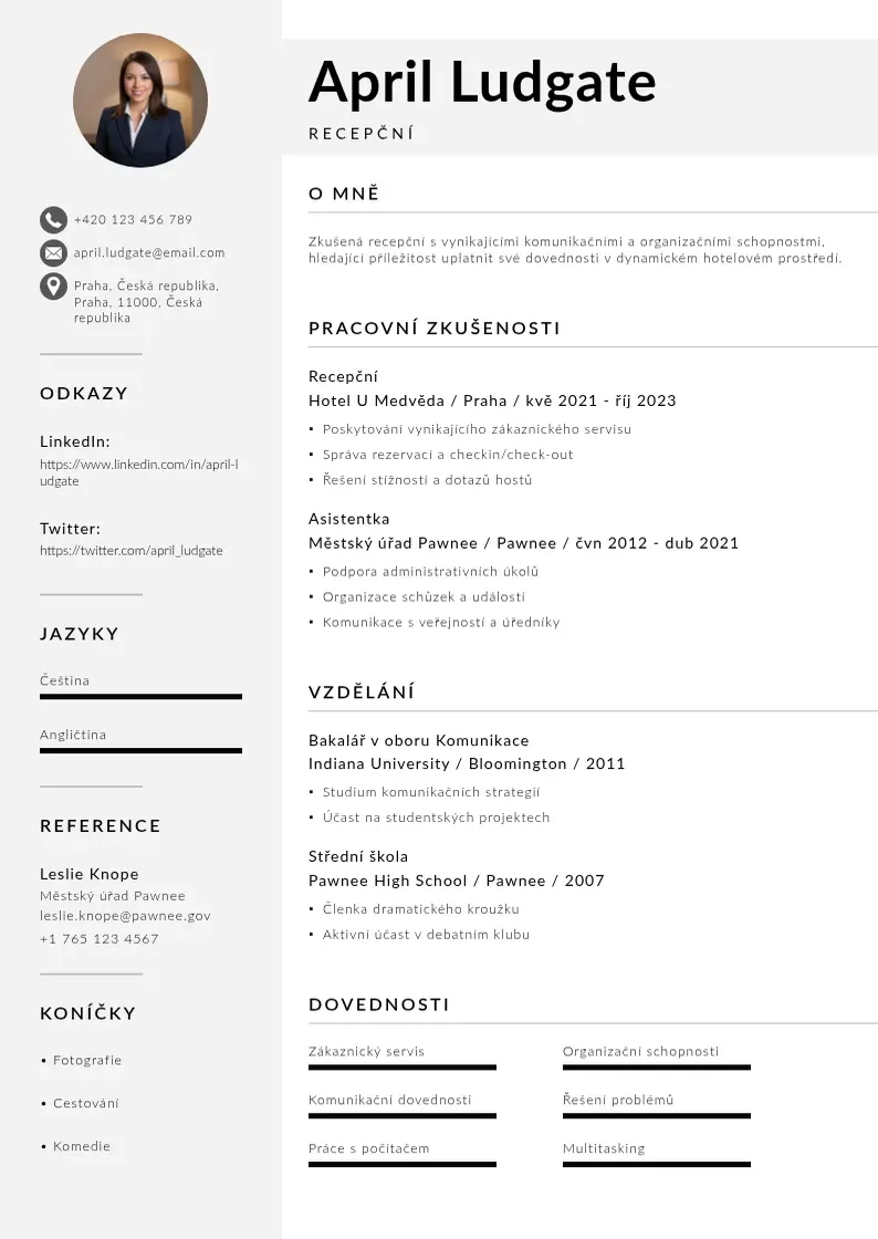 Mūsdienīga Cv recepcni CV veidne
