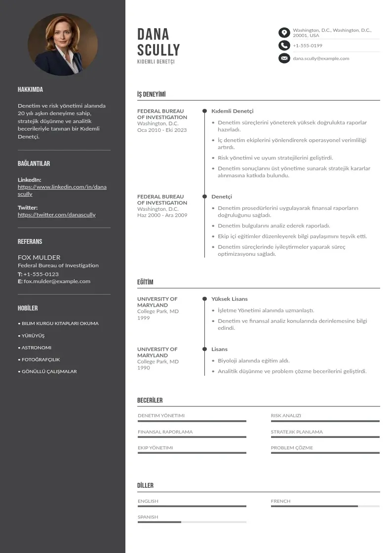 Divu kolonnu Kıdemli Denetçi  CV piemērs