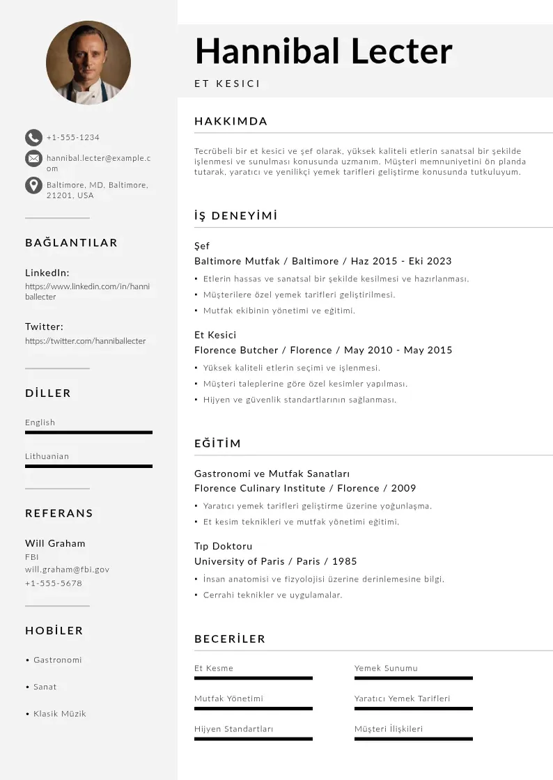 Mūsdienīga Et kesici  CV veidne