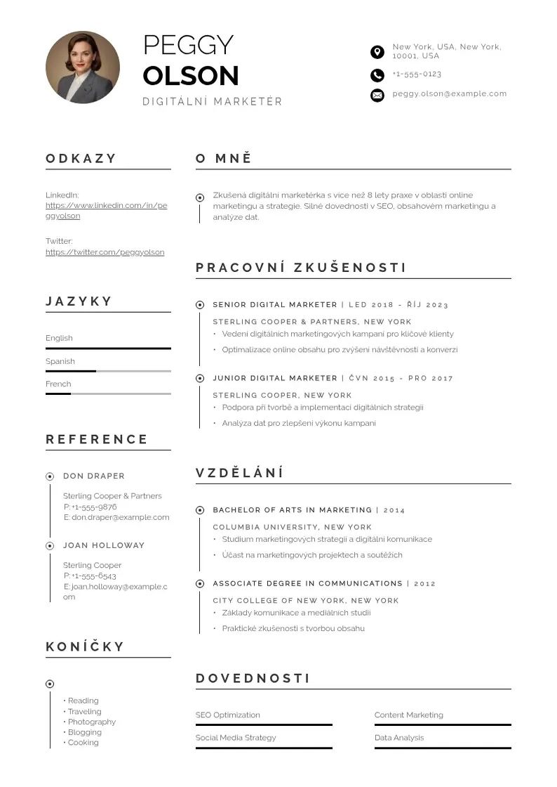 Profesionāla Digitalni marketer zivotopis CV veidne